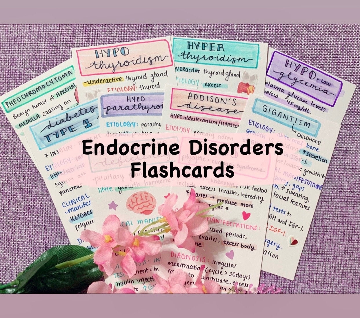 Pathophysiology Endocrine Disorders Digital Flashcards Etsy