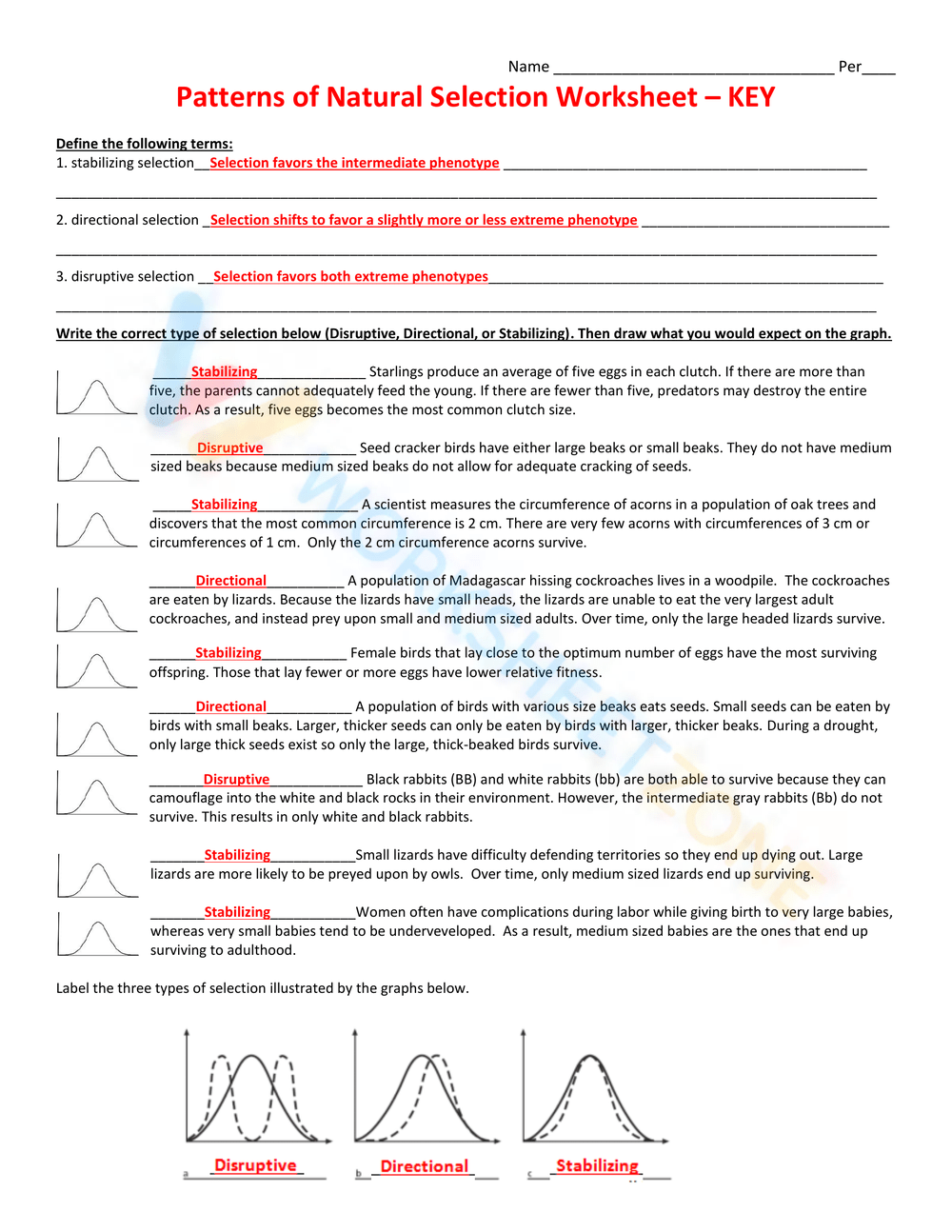 Patterns Of Natural Selection Worksheet Worksheet