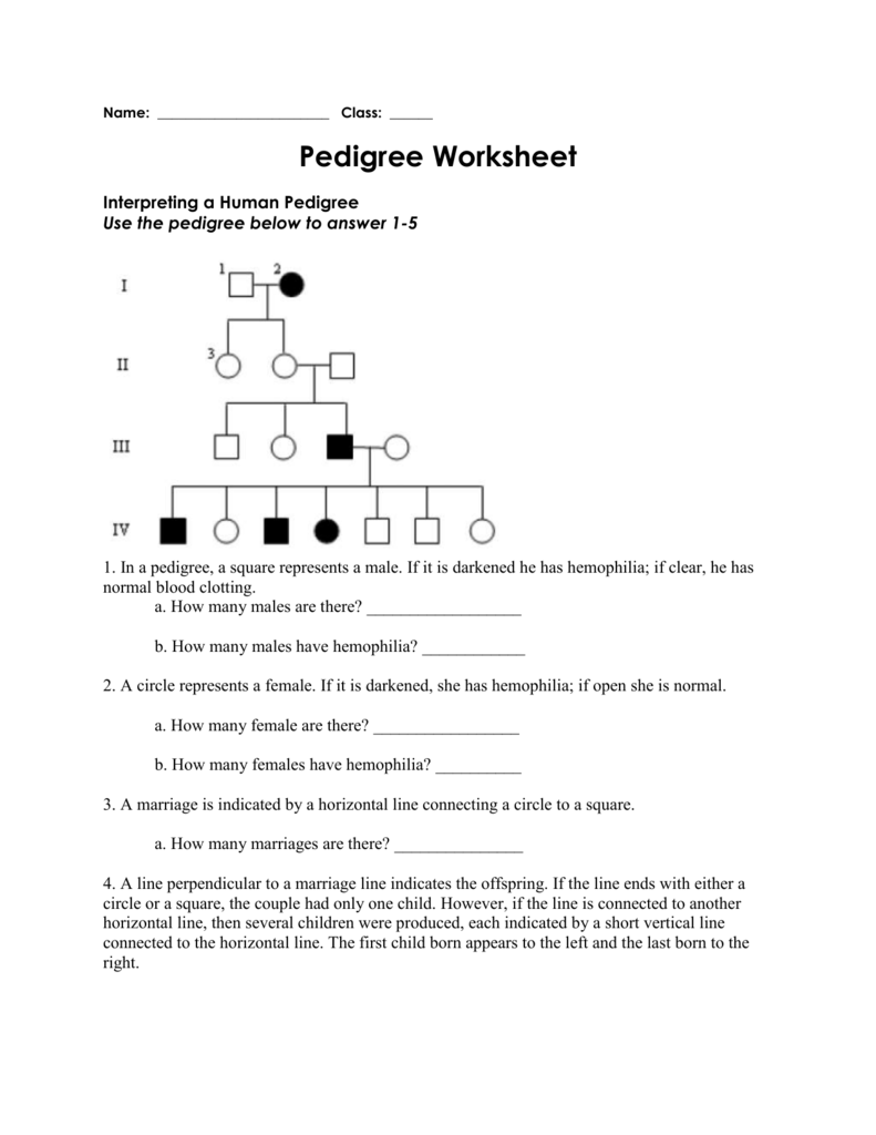 Pedigree Worksheet Interpreting Inheritance Patterns
