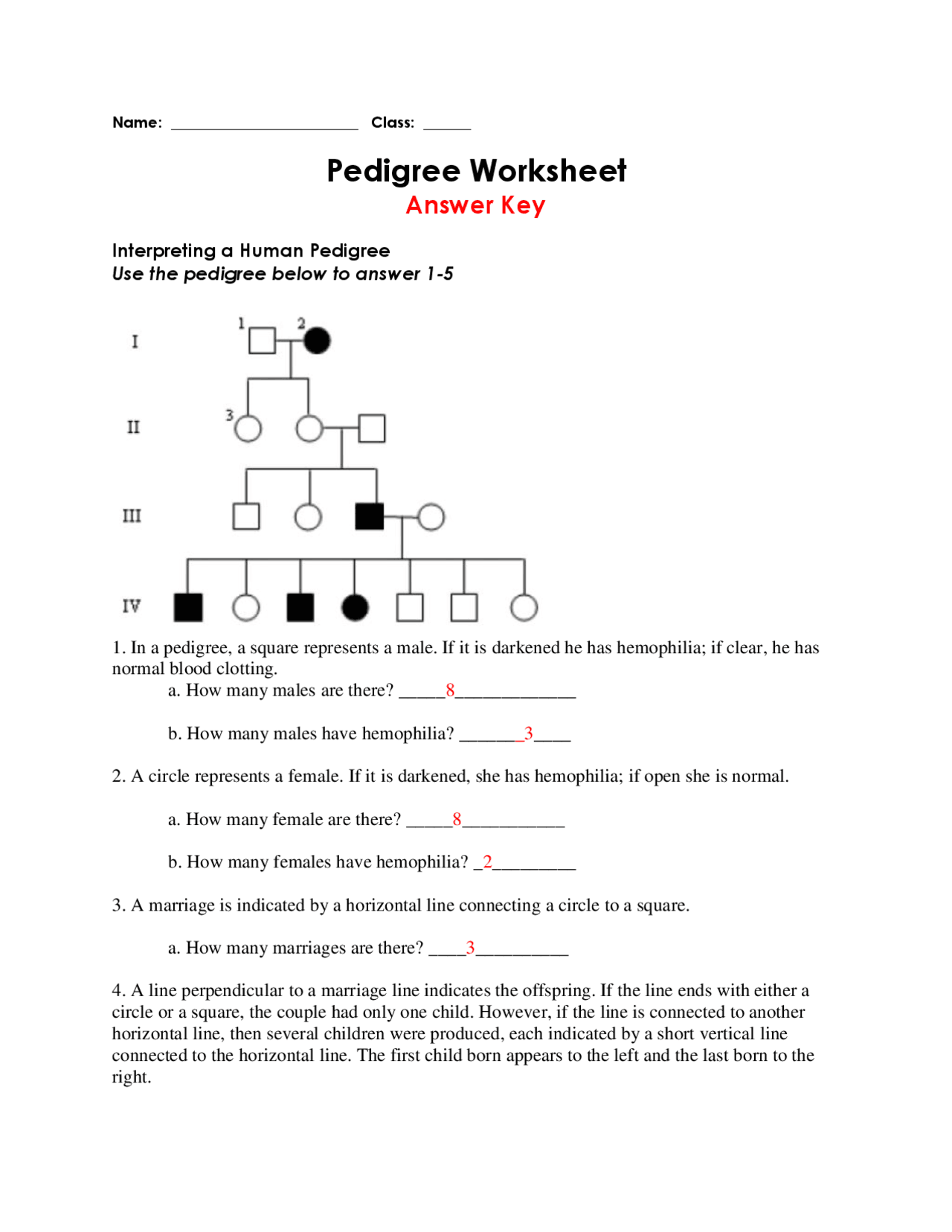 Pedigree Worksheet With Answer Key Exercises Genetics Docsity Worksheets Library