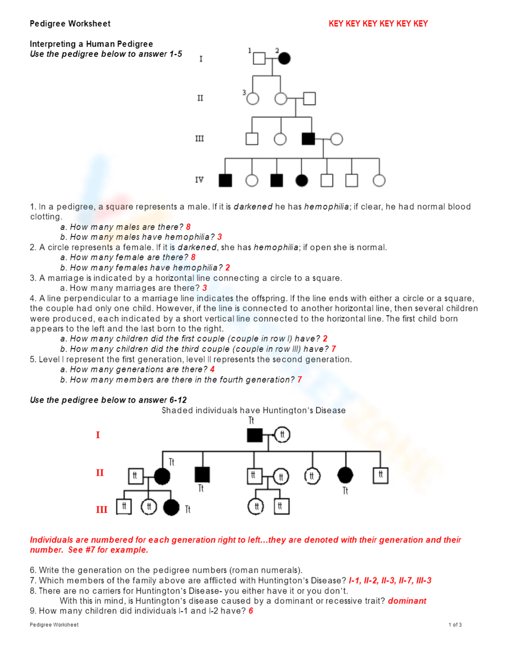 Pedigree Worksheets Printable