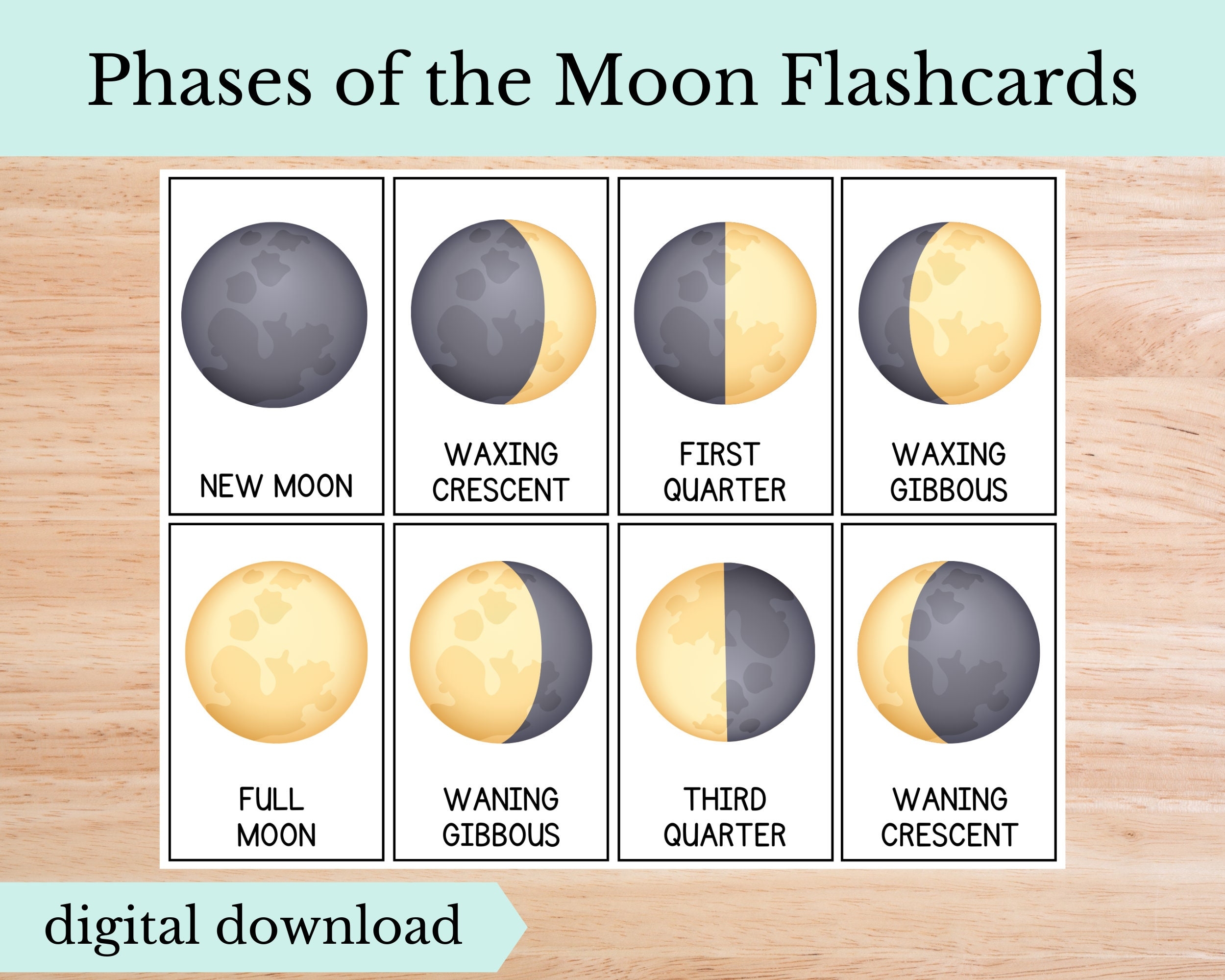 Phases Of The Moon Flashcards Digital Download Etsy