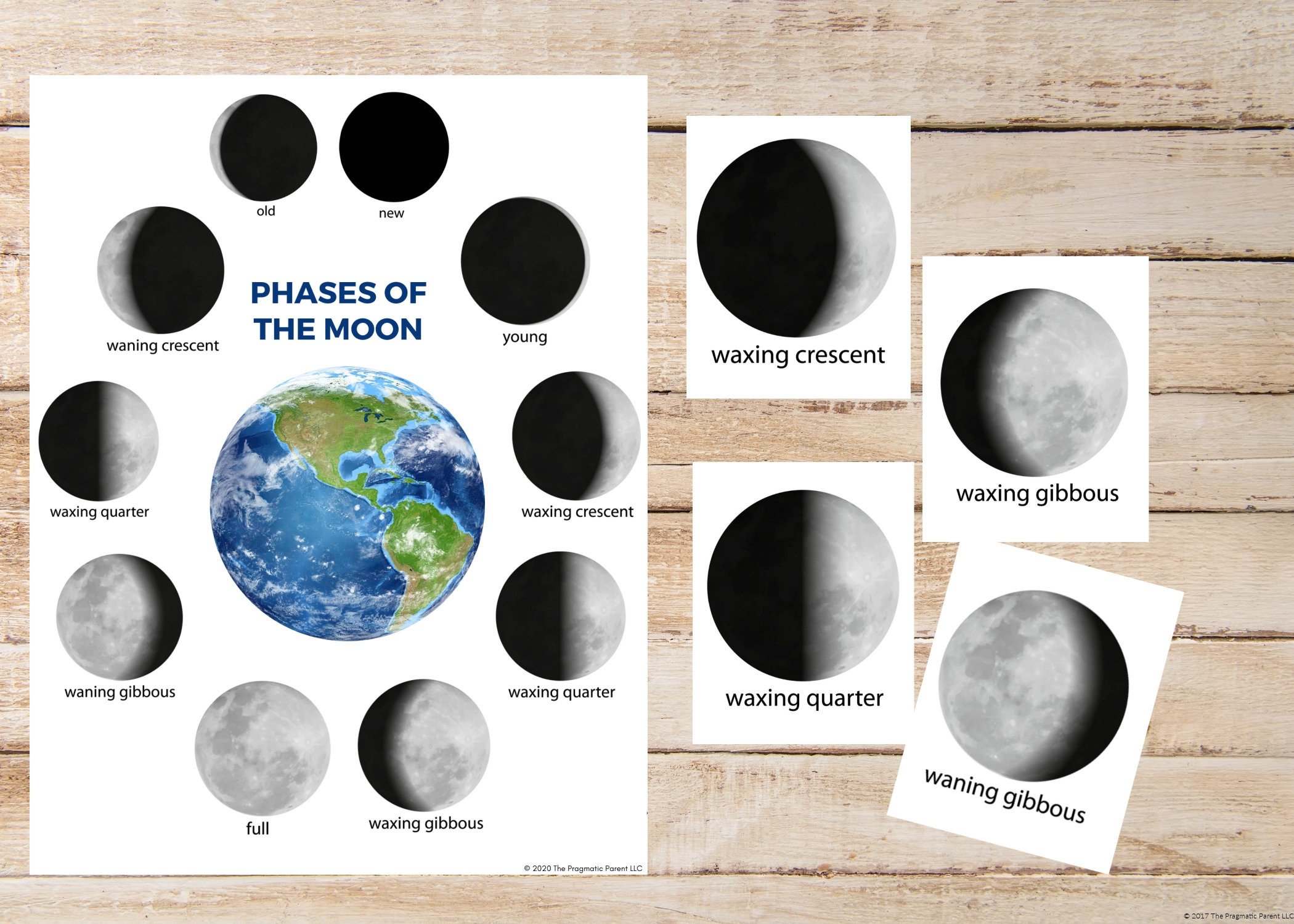 moon phases flashcards