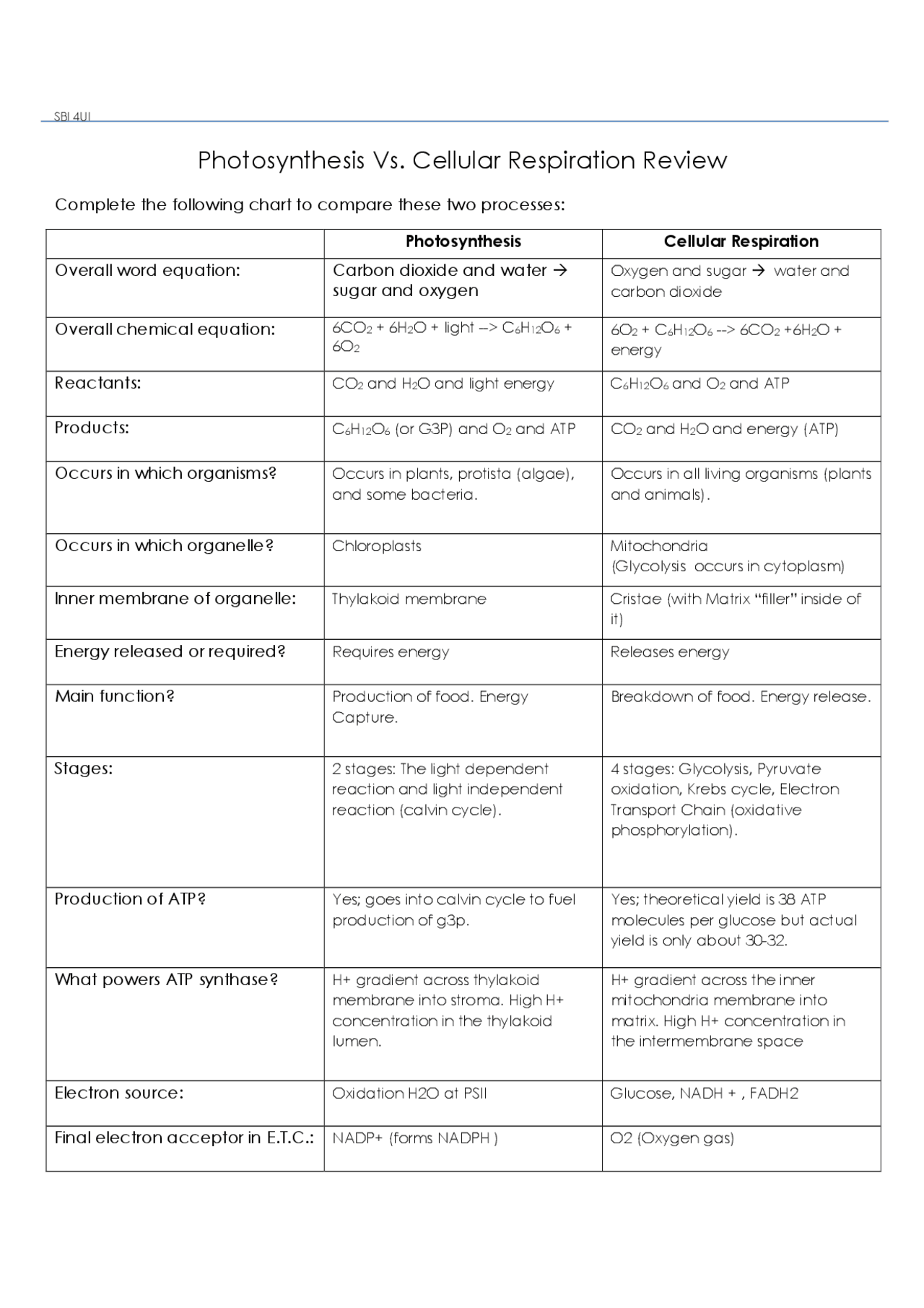 photosynthesis and cellular respiration worksheet answer key