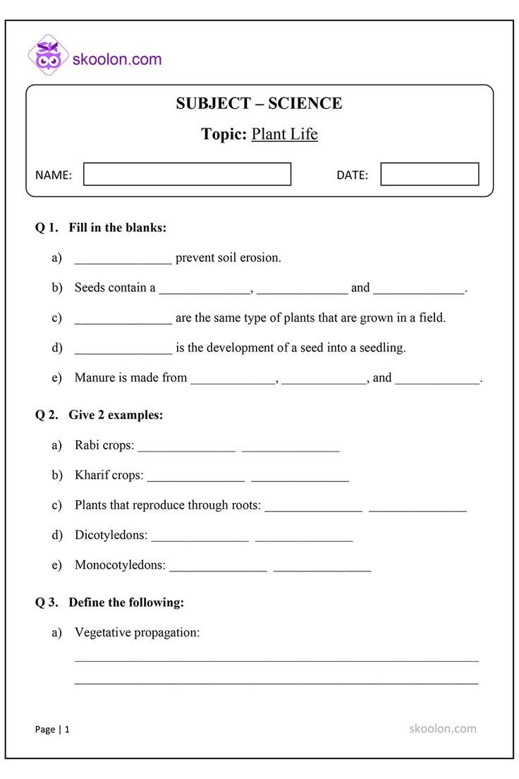 science worksheets for 5th graders science worksheets for 5th graders