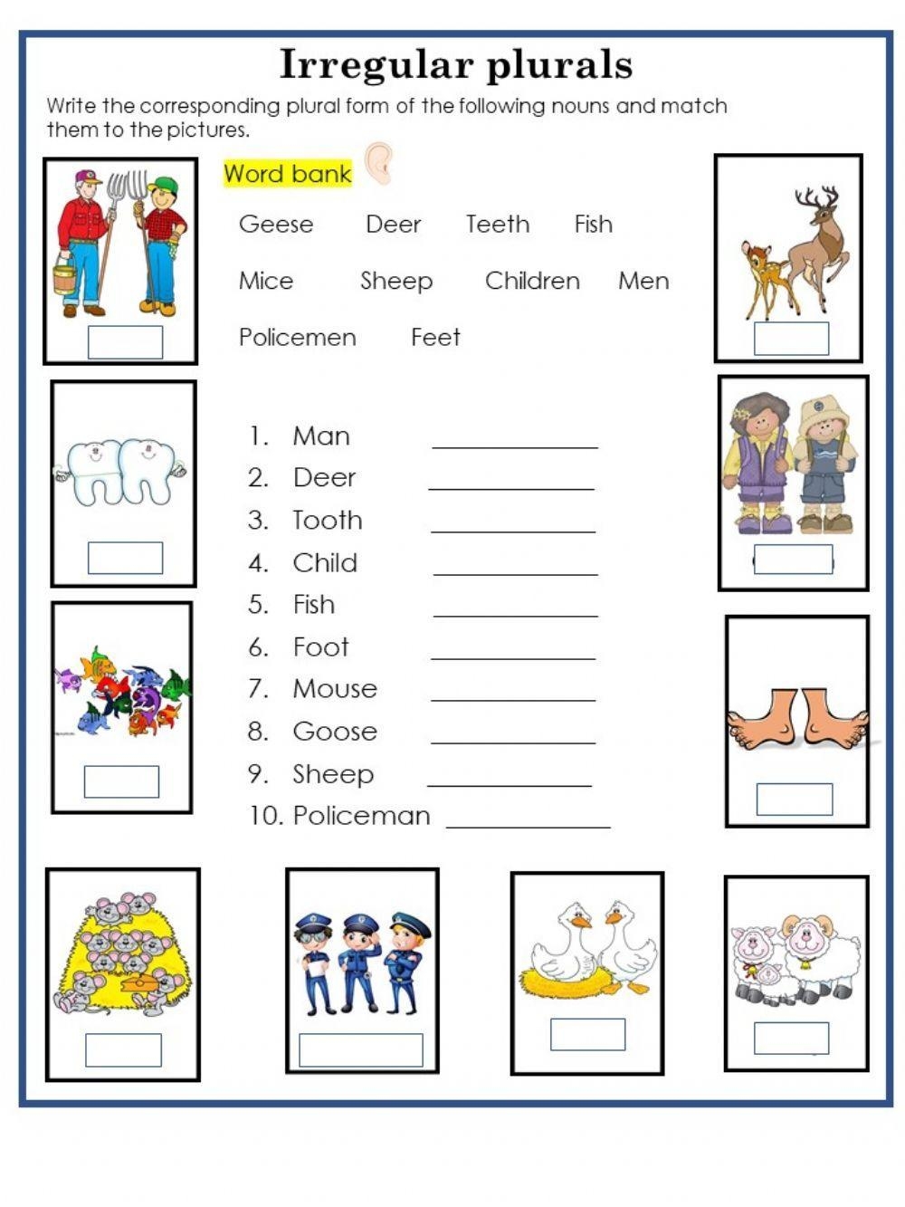 worksheets on irregular plural nouns