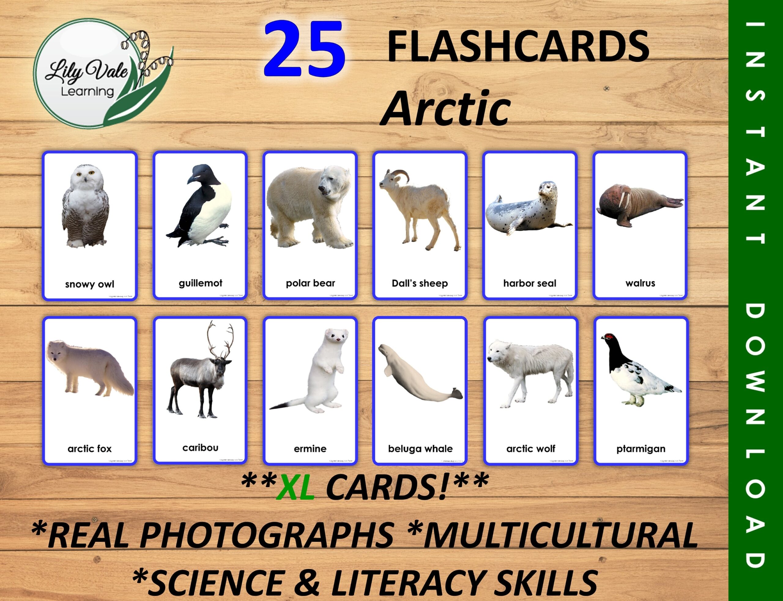 Polar Animals Printable Flashcards Arctic Animals Montessori Flashcards Arctic Animal Printable ARCTIC ANIMAL FLASHCARDS Xl Flashcards Etsy