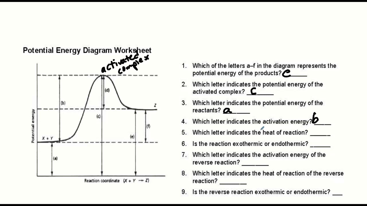 Potential Energy Diagrams YouTube