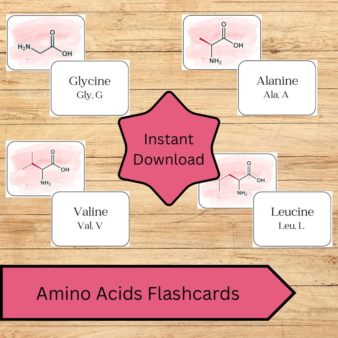 Printable Amino Acids Flashcards Instant Download For Biochemistry Chemistry And Biology Students Etsy Canada