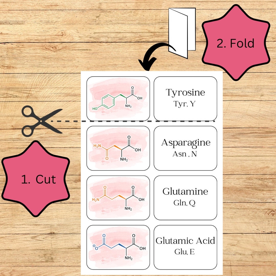 Printable Amino Acids Flashcards Instant Download For Biochemistry Chemistry And Biology Students Etsy