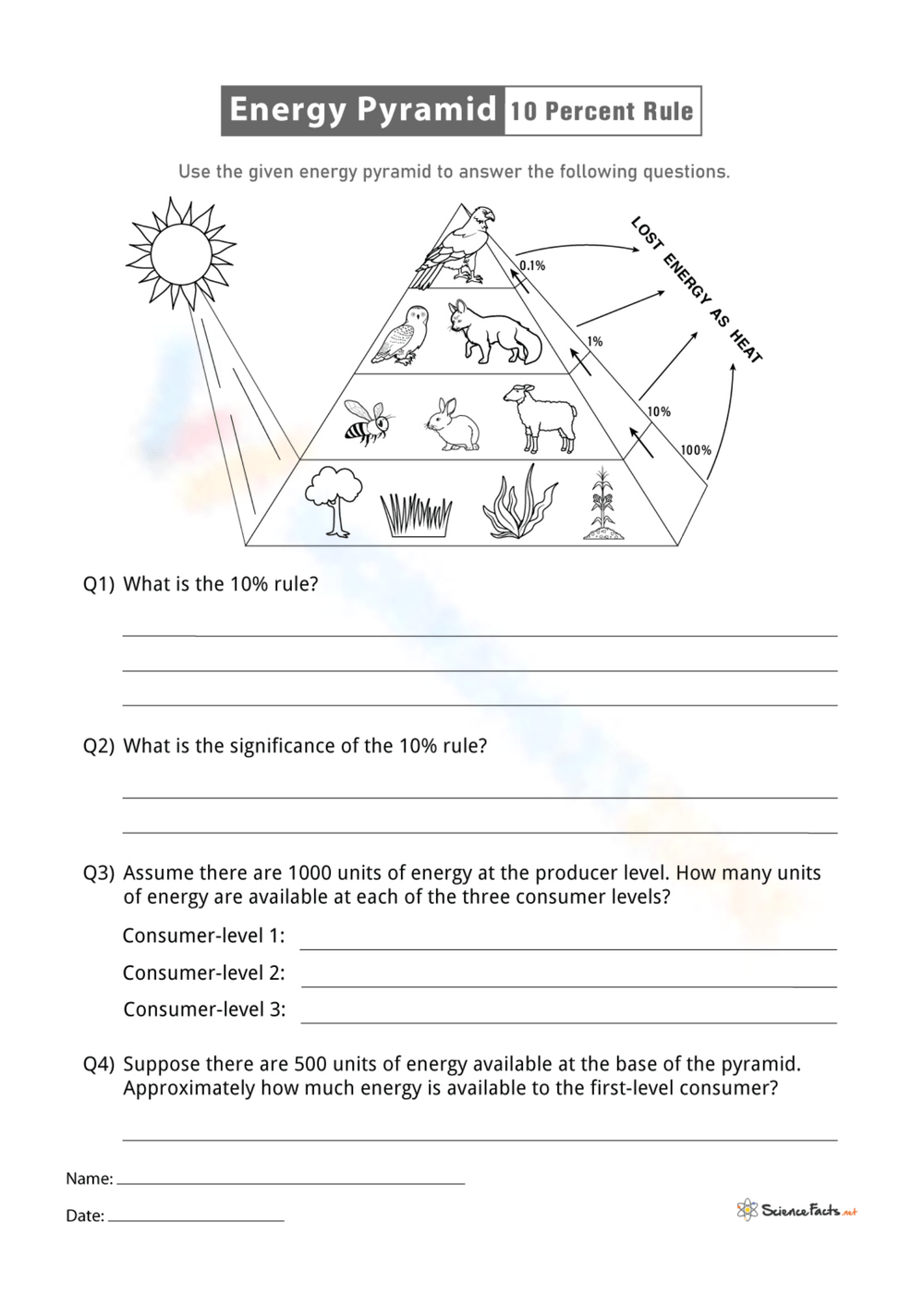 Printable Energy Pyramid Worksheets Printable Energy Pyramid Worksheets