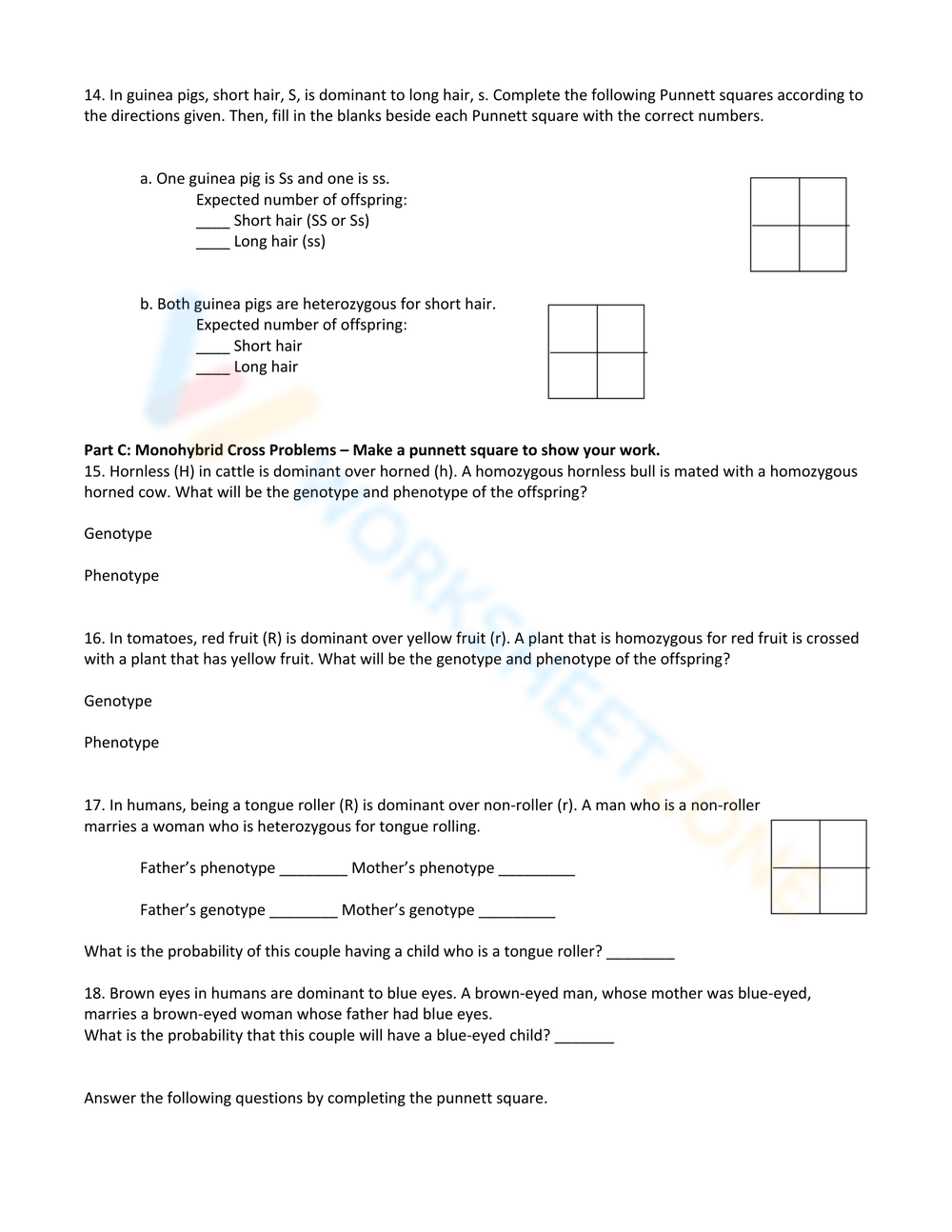 punnett square practice worksheet answers