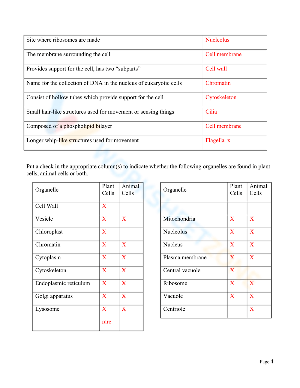 Printable Grade 7 Cell Organelles Worksheets