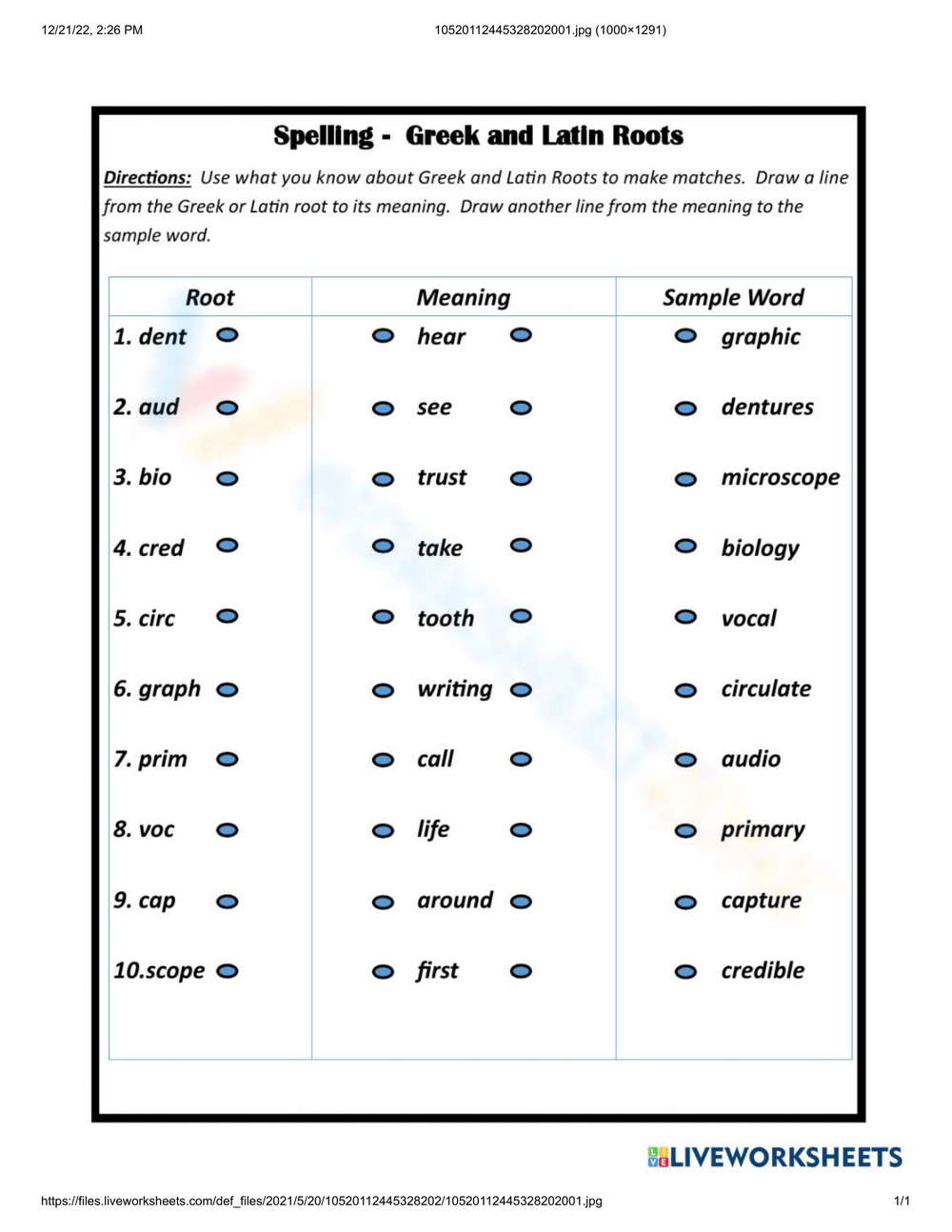 Printable Greek And Latin Roots Worksheets
