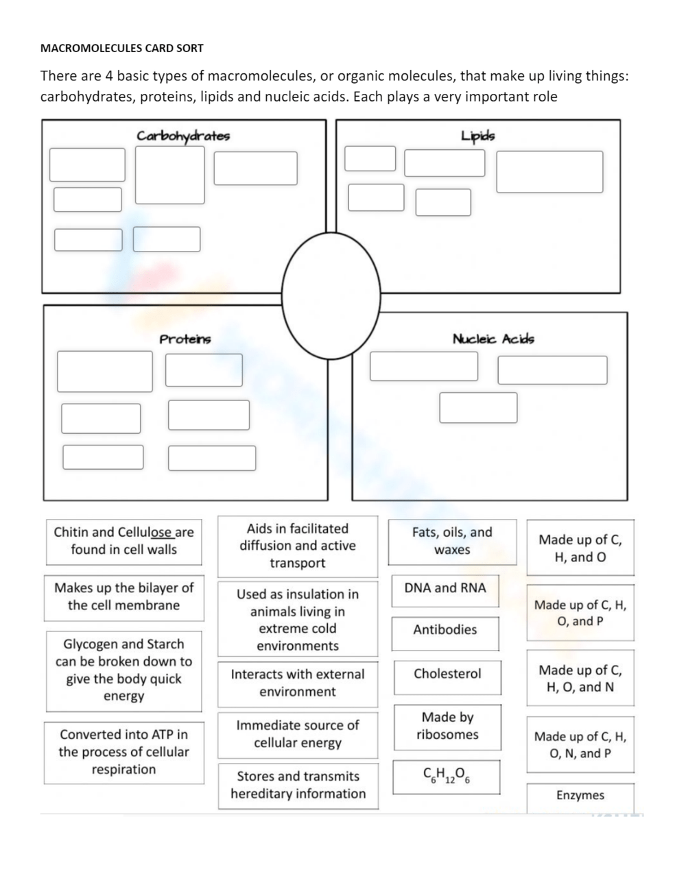 Printable Macromolecule Worksheets