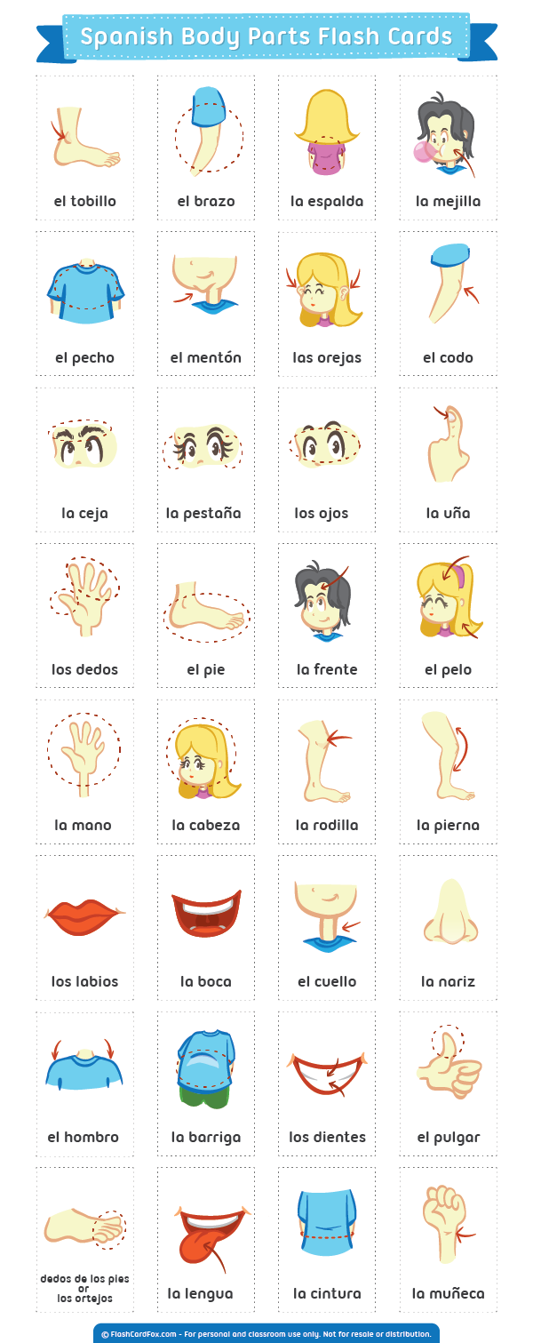 printable spanish flashcards