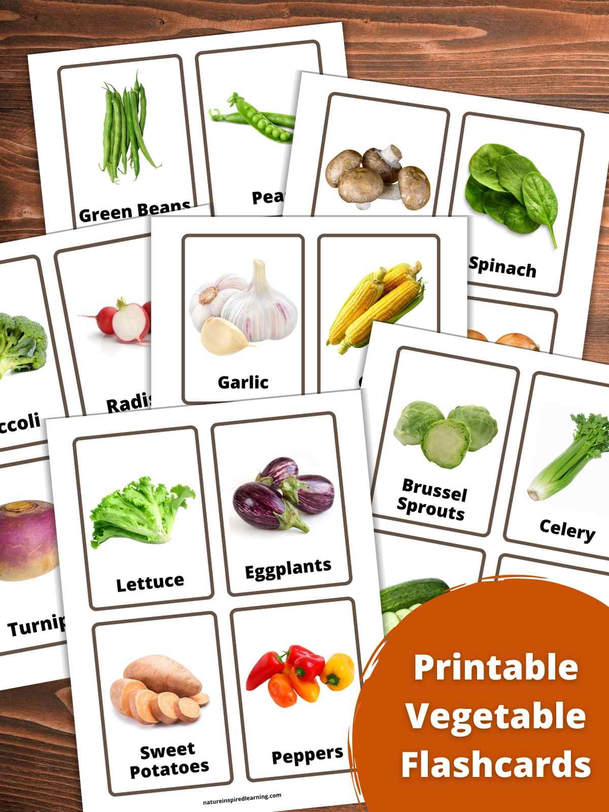 flashcards for vegetables