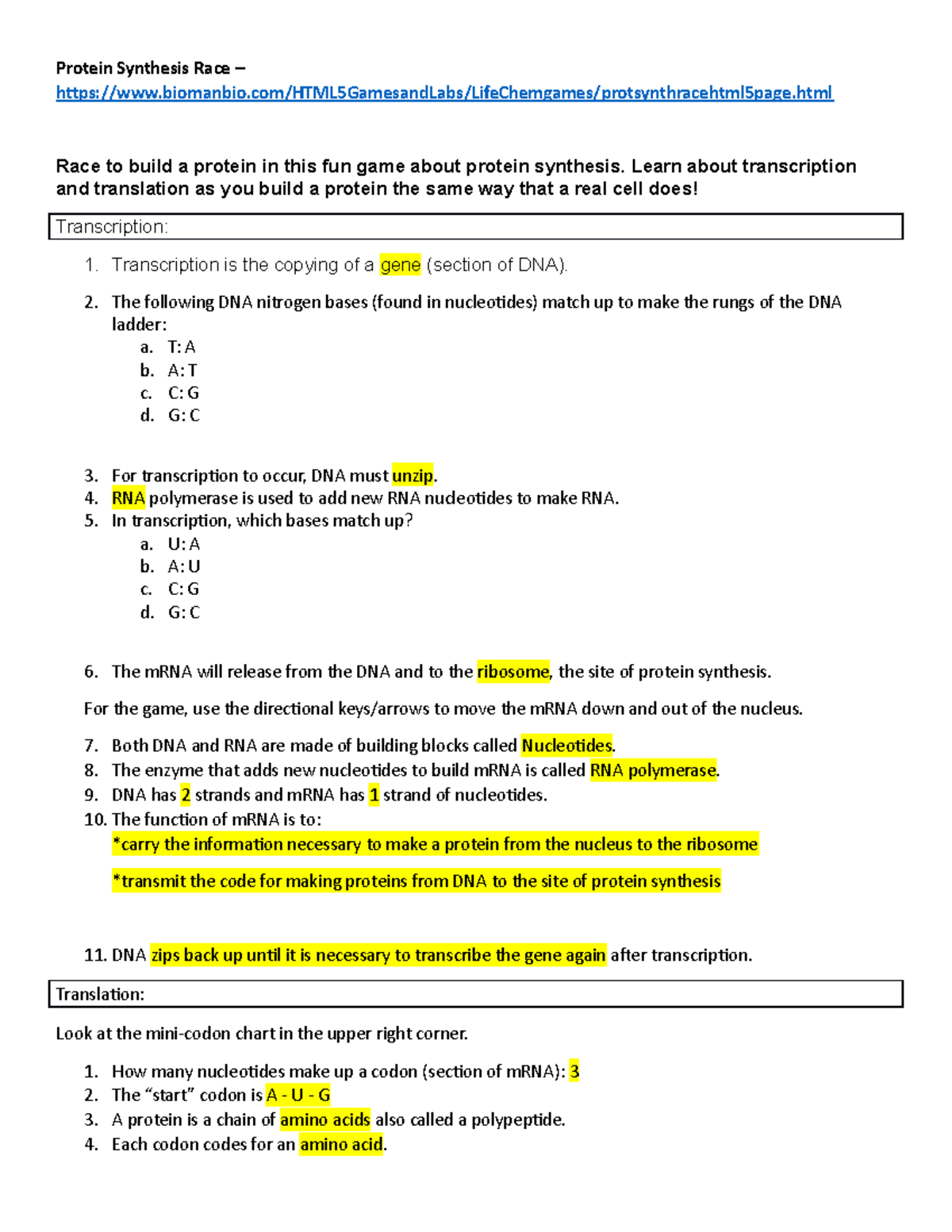 protein synthesis worksheet answers