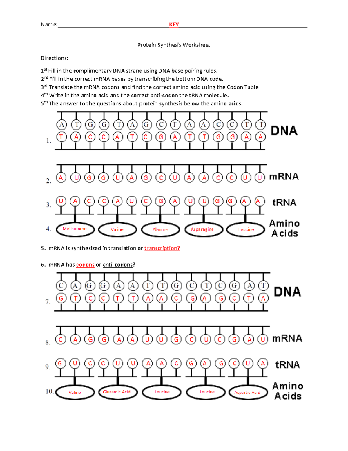 Protein Synthesis Worksheet Key 1617 Name KEY Protein Synthesis Worksheet Directions 1 St Fill Studocu