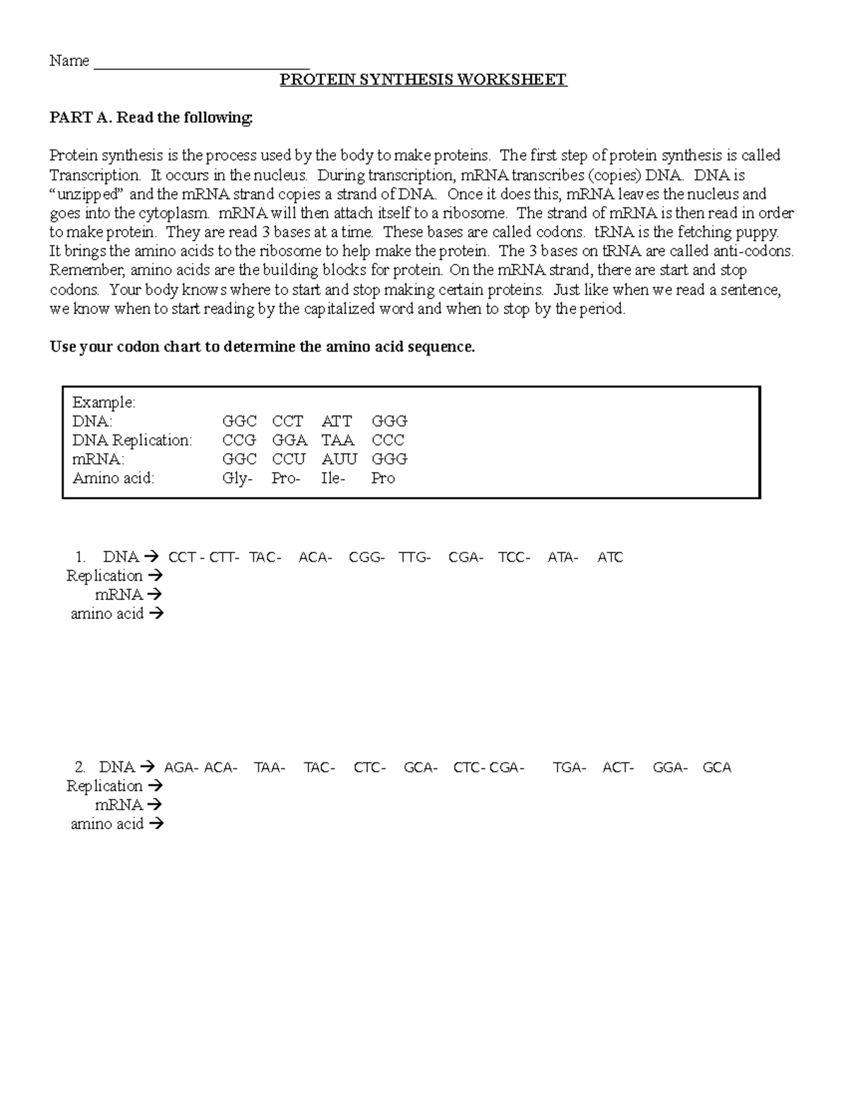 Protein Synthesis Worksheet Name PROTEIN SYNTHESIS WORKSHEET PART A Read The Following Protein Studocu