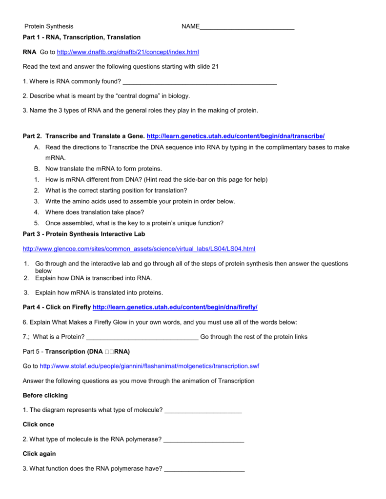 Protein Synthesis Worksheet RNA Transcription Translation