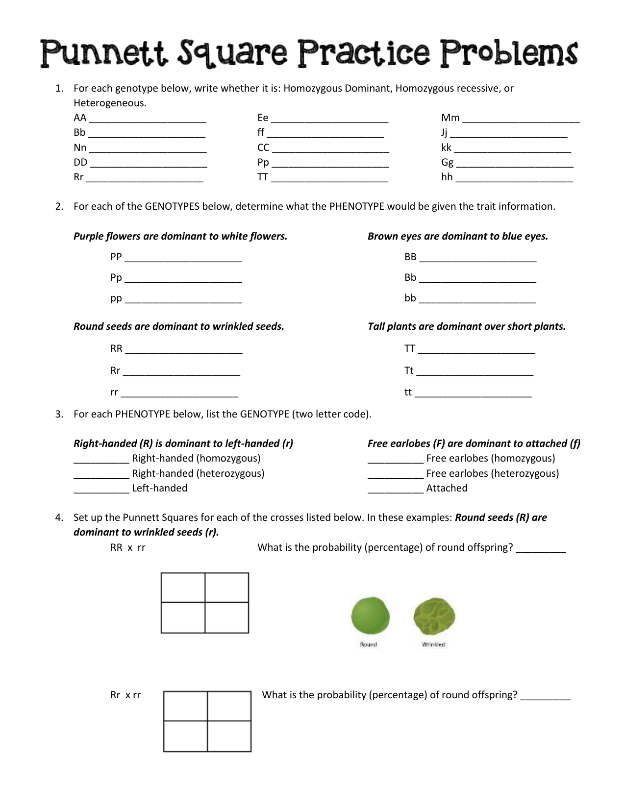 Punnett Square Practice Genetics Worksheet