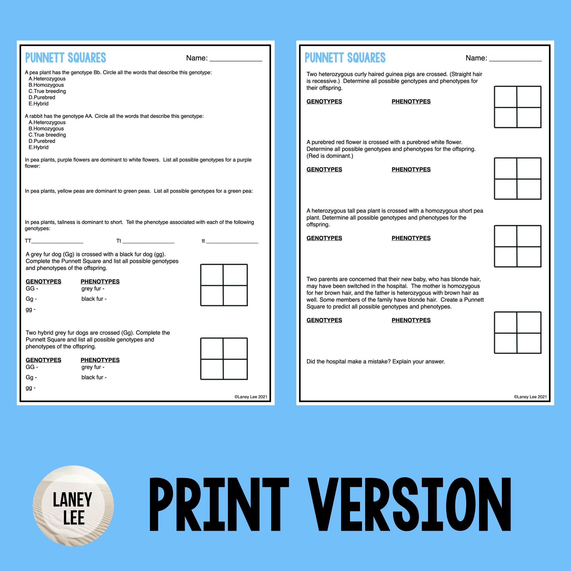 punnett square worksheet answer key