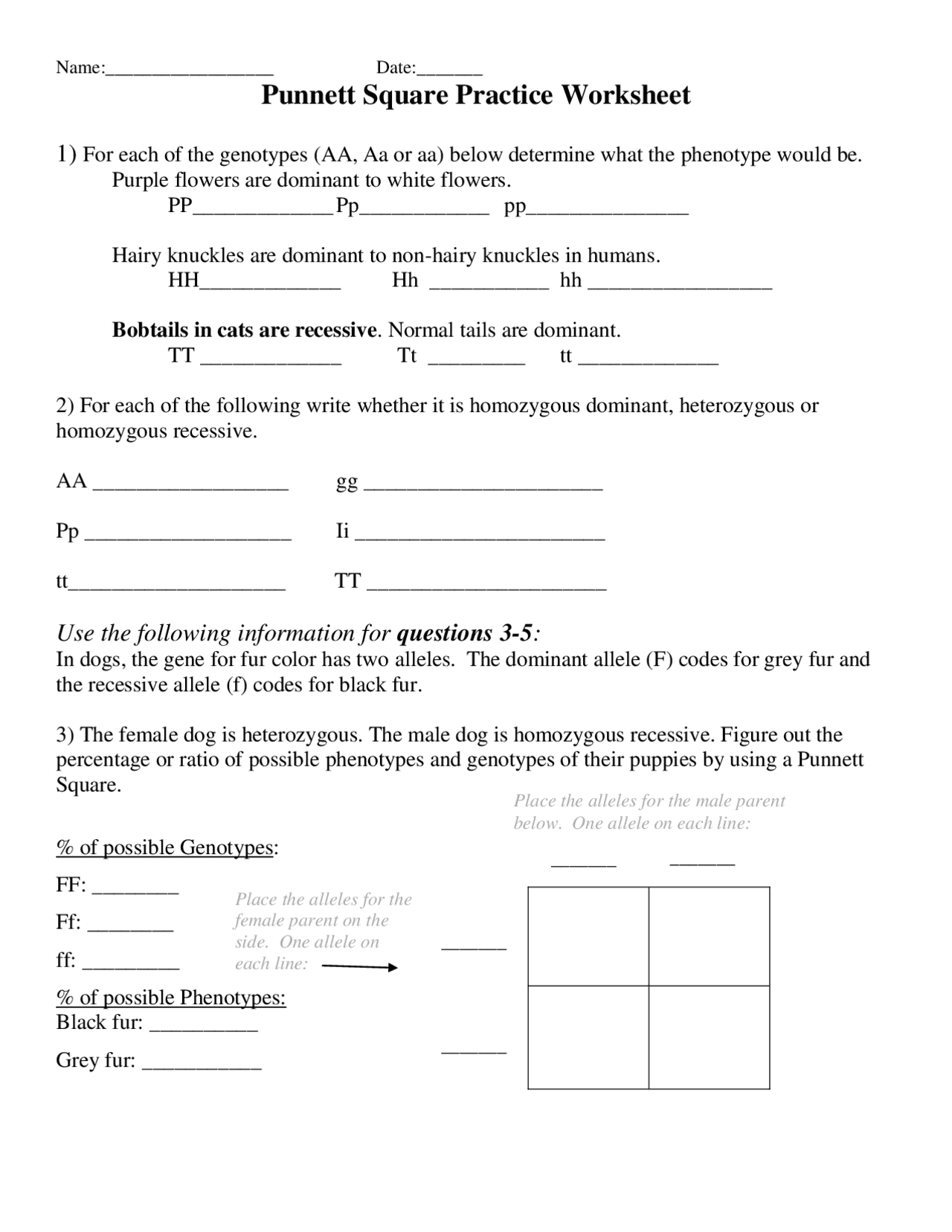 Punnett Square Practice Worksheet Genetics And Heredity Cheat Sheet Biology Docsity
