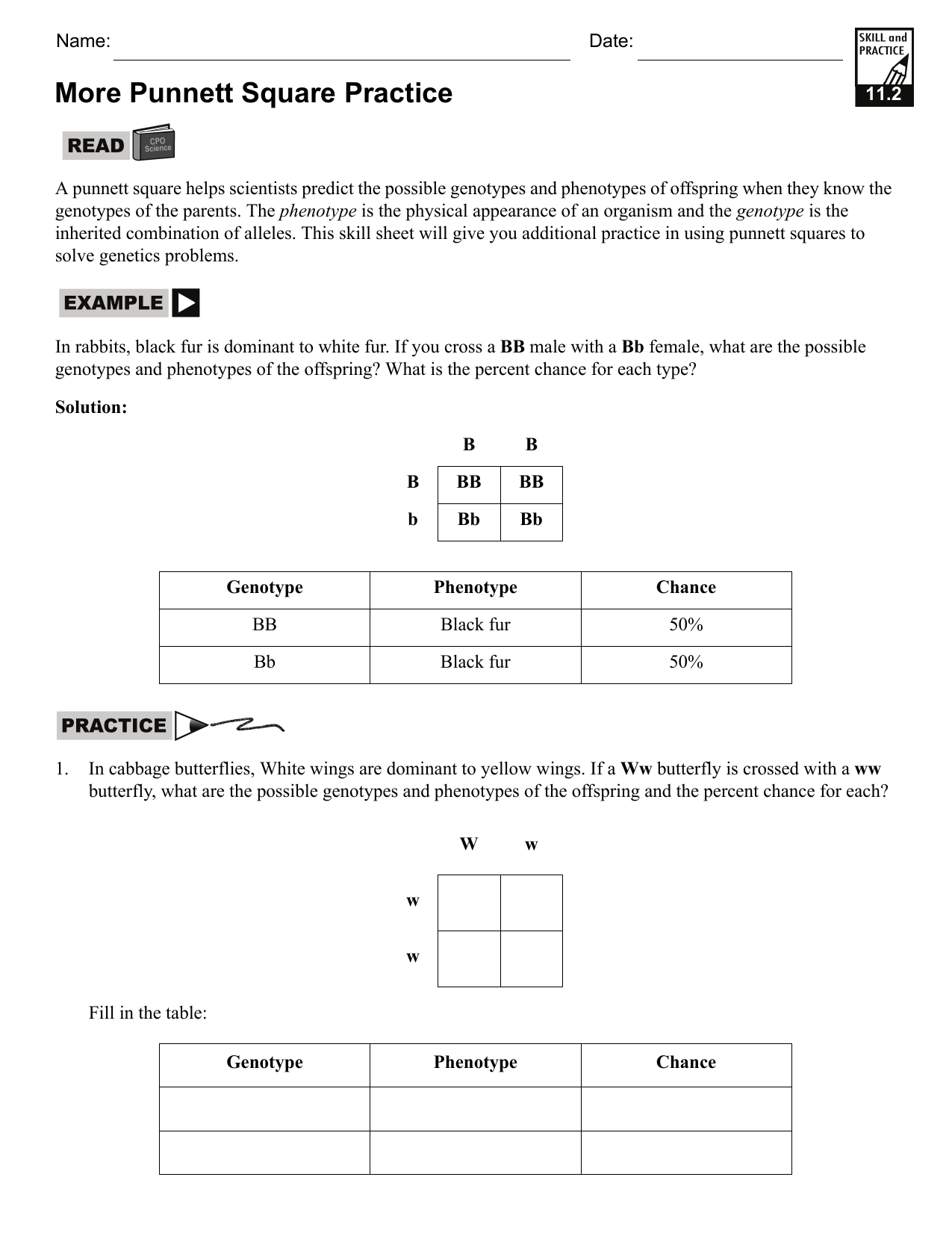 Punnett Square Practice Worksheet Genetics Problems