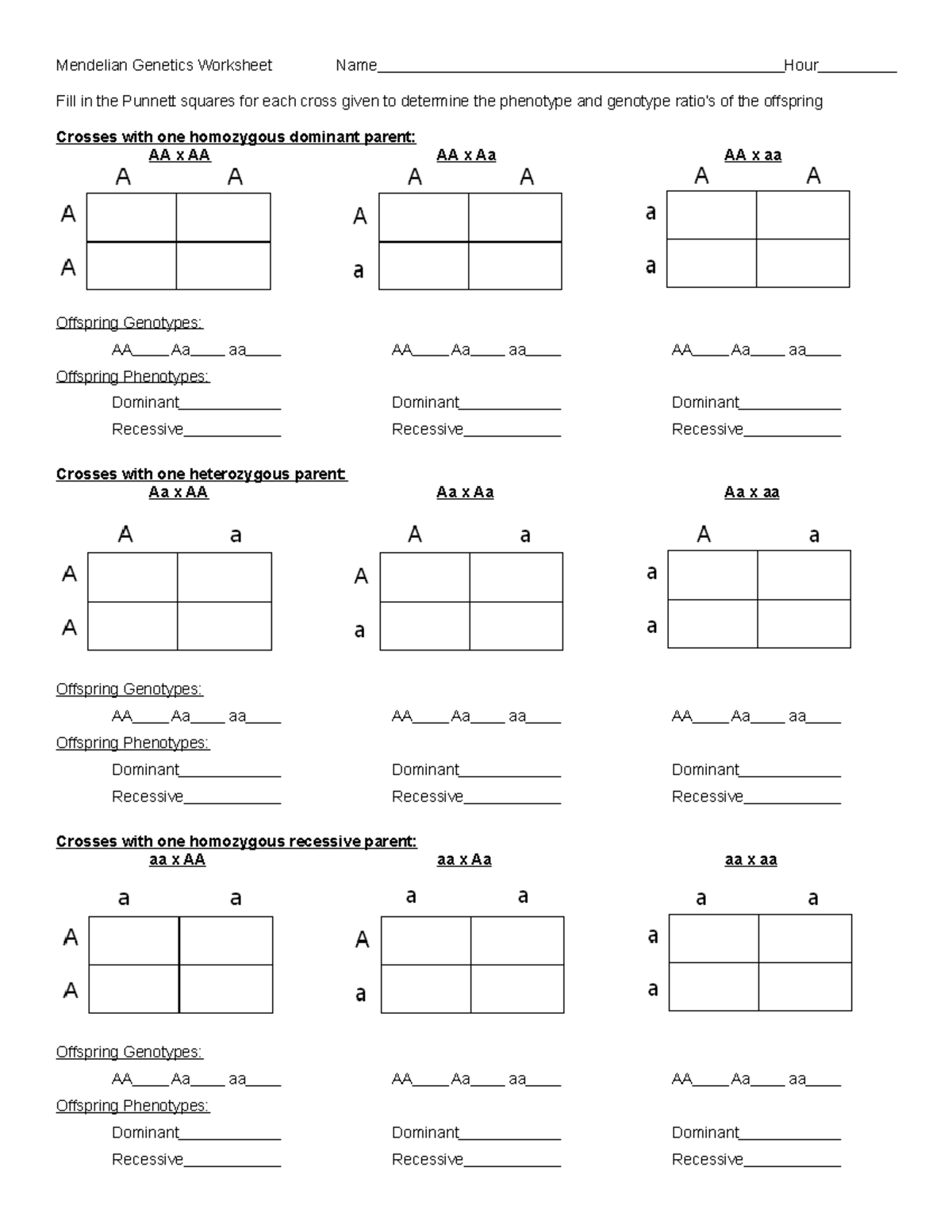 Punnett Square Worksheet For Grade 12 Biology Mendelian Genetics Worksheet Name Hour Fill In The Studocu