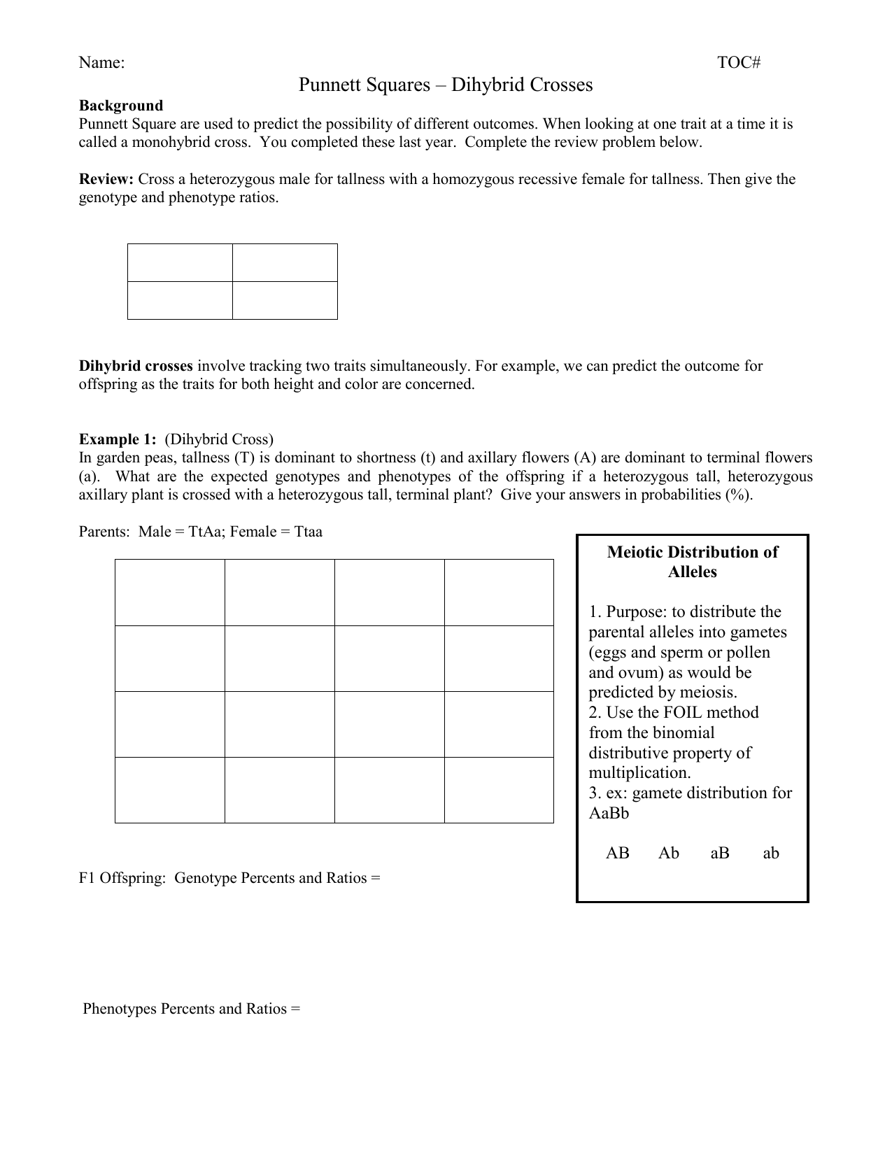 dihybrid cross worksheet
