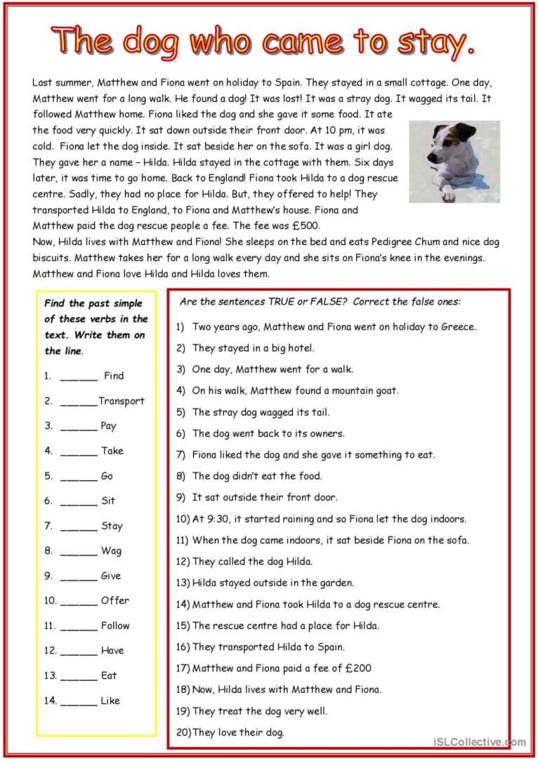 Reading Comprehension Reading For De English ESL Worksheets Pdf Doc
