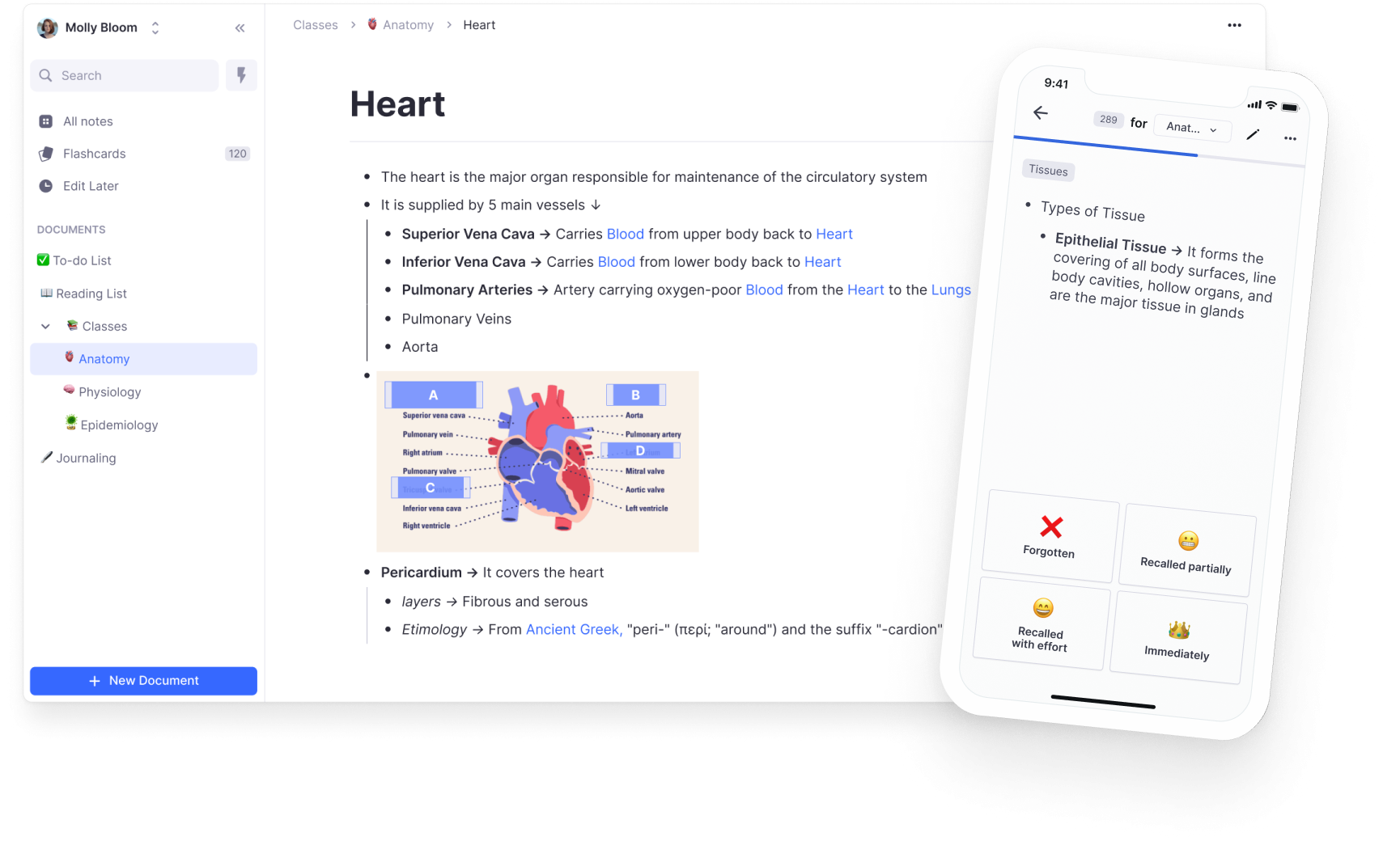 RemNote The All in one Tool For Thinking And Learning