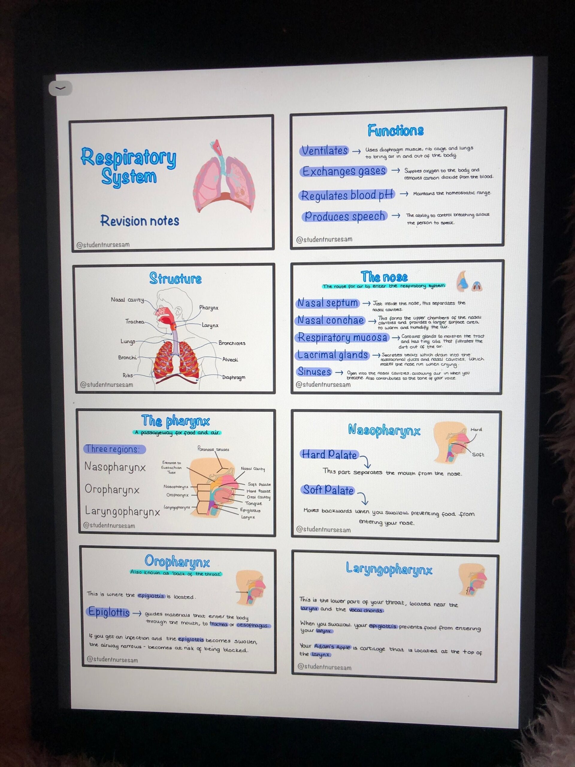 Respiratory System Flashcards digital Copy Etsy UK