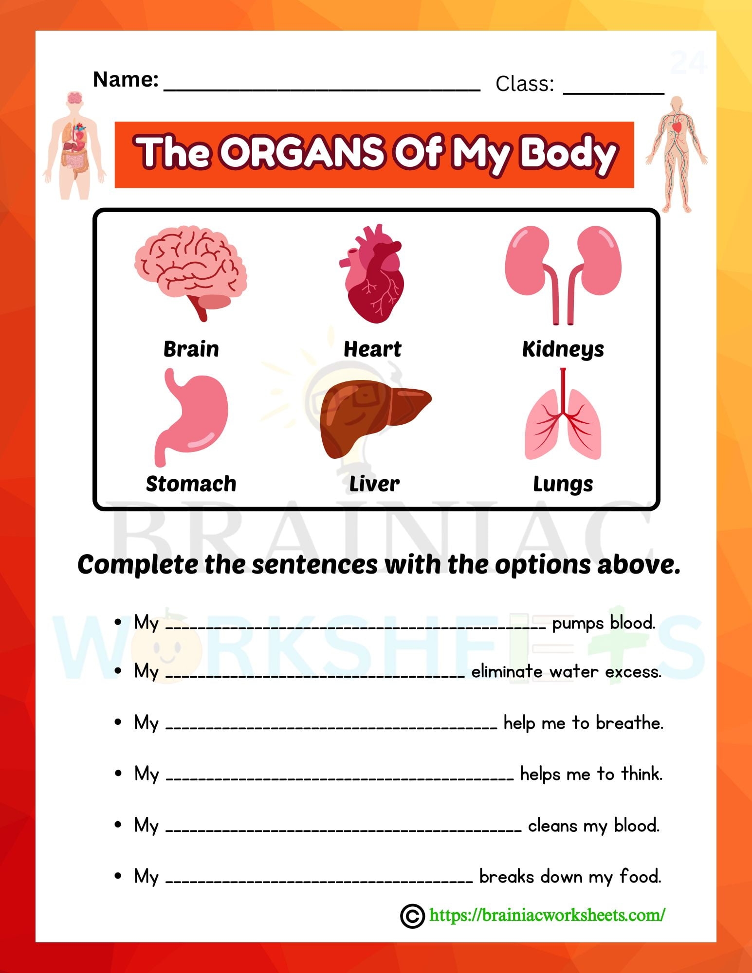 Science Worksheet For Class 5 Human Organs Complete The Sentences Brainiac Worksheets