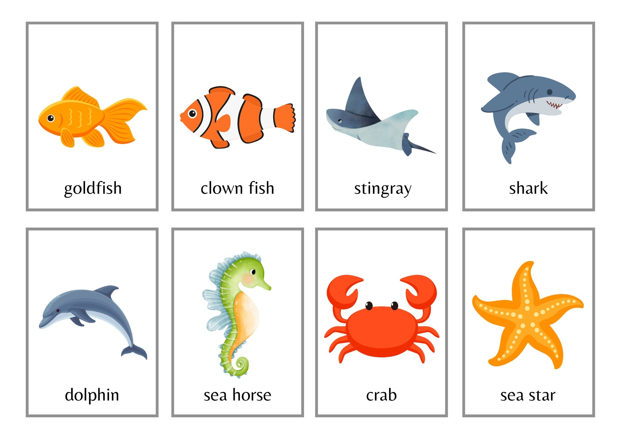 Sea Animal Flashcards 24 Animal Flashcards Sea Animals Learning Flashcards Etsy