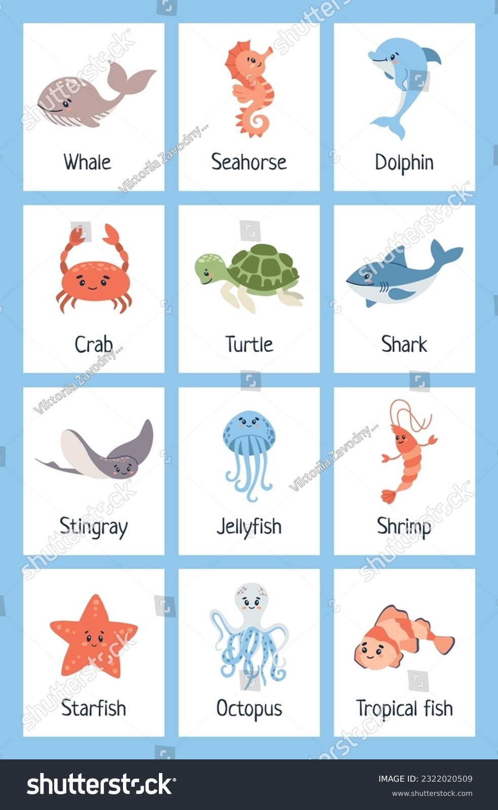 Sea Animal Flashcards Learning Ocean Vocabulary Stock Vector Royalty Free 2322020509 Shutterstock