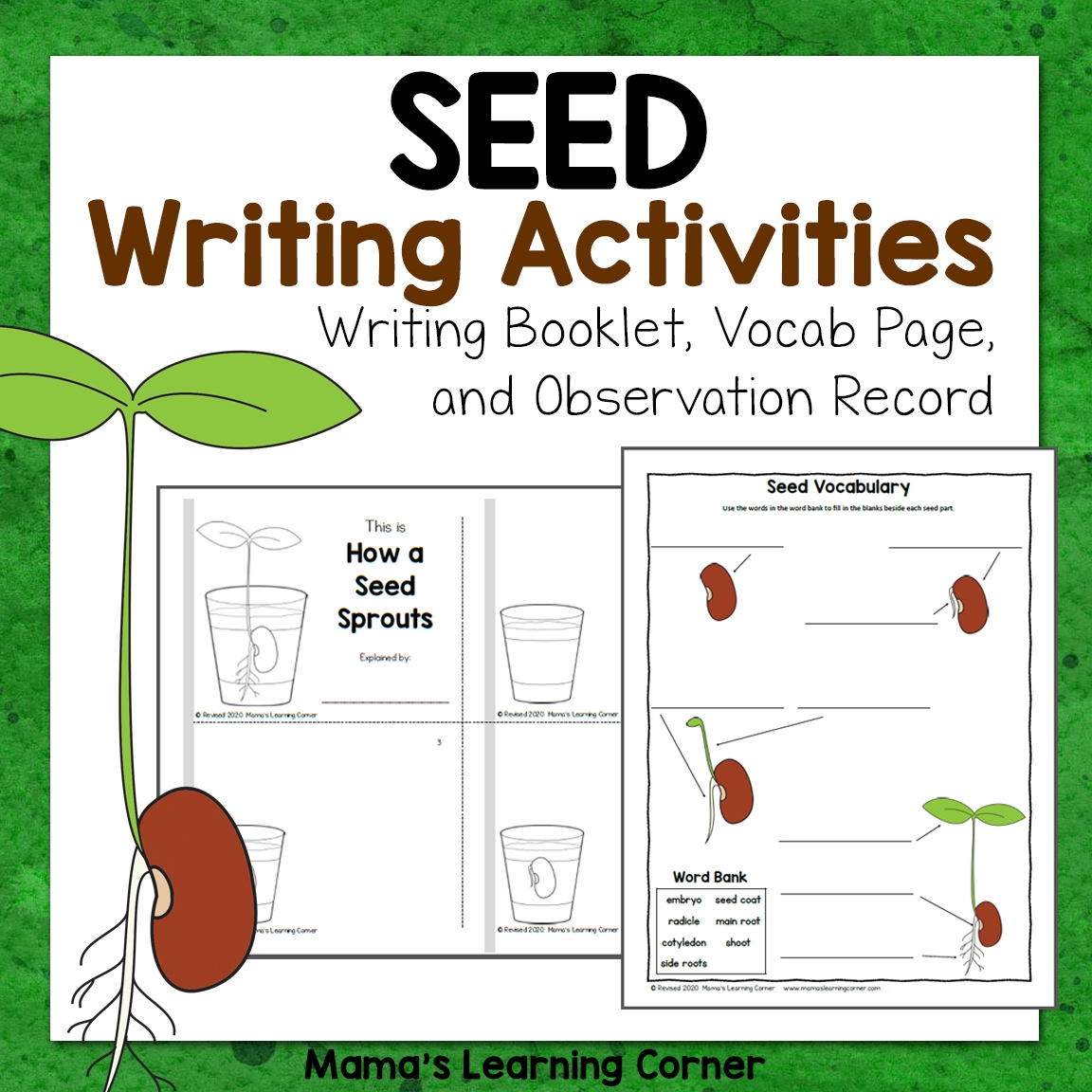 Seed Writing Activities Mamas Learning Corner