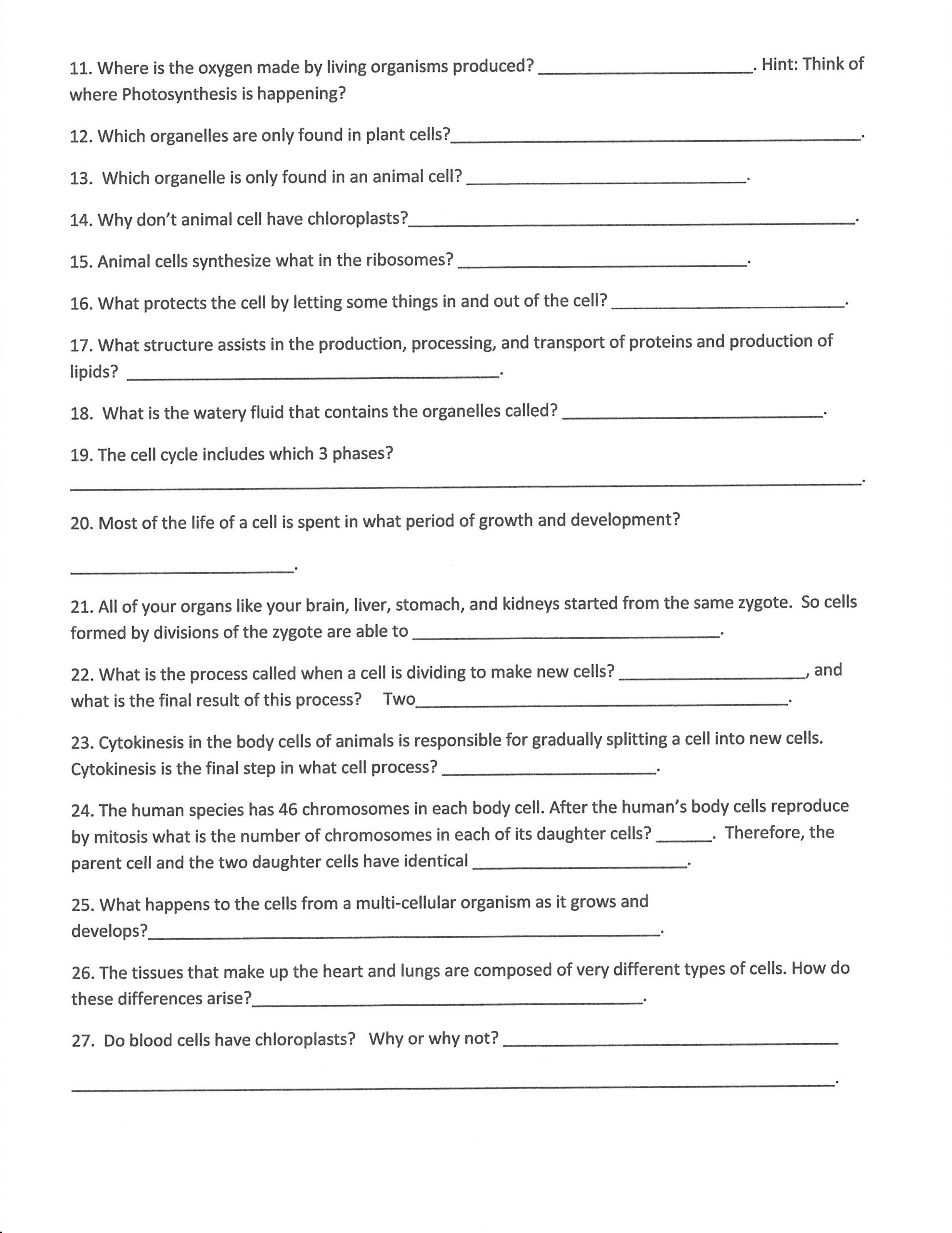 September Worksheets Morris 7th Grade Science Class