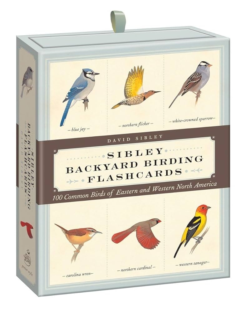 Sibley Backyard Birding Flashcards 100 Common Birds Of Eastern And Western North America Sibley Birds Amazon co uk Sibley David Allen 9780307888976 Books