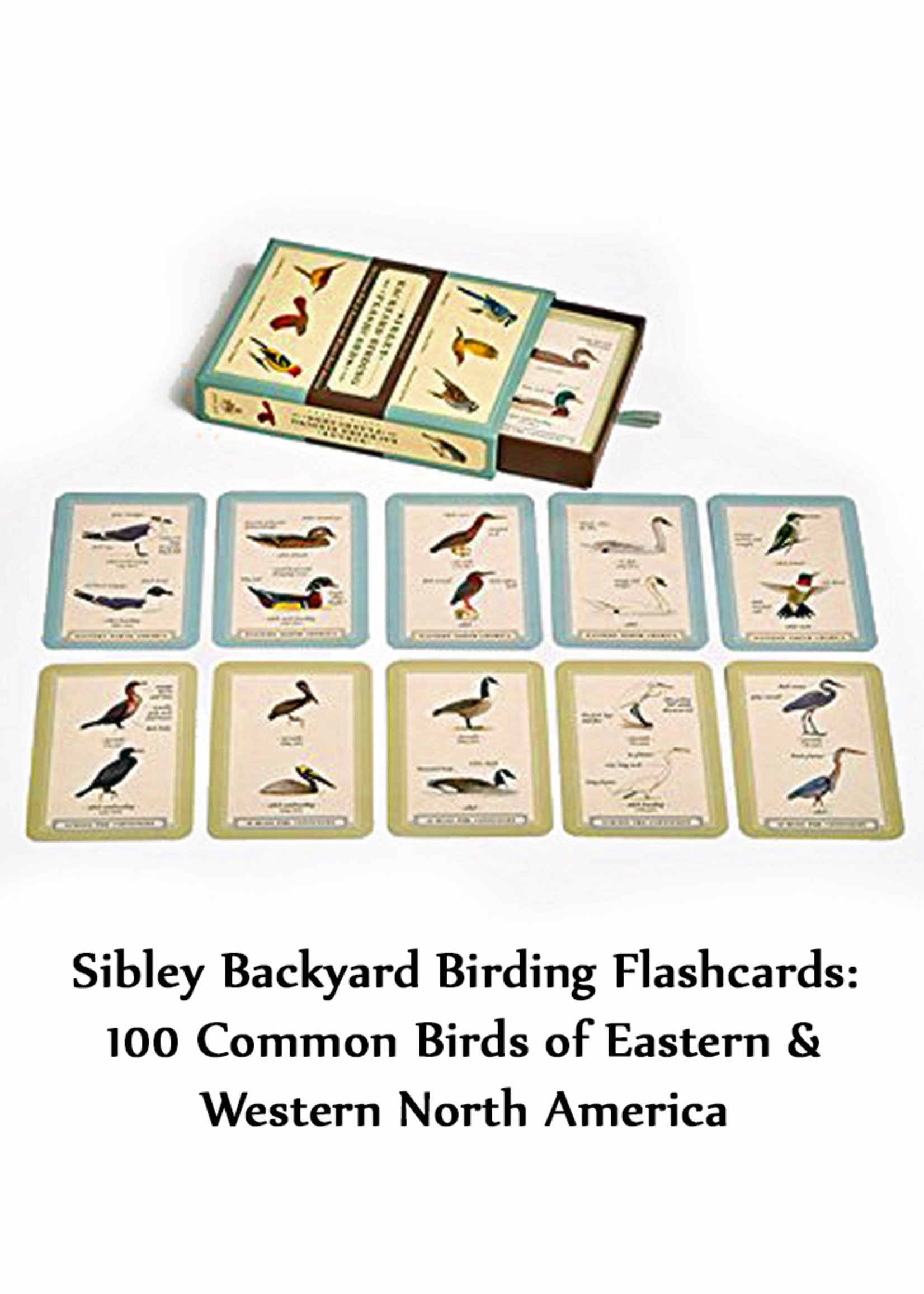 Sibley Backyard Birding Flashcards Box Tree House Books
