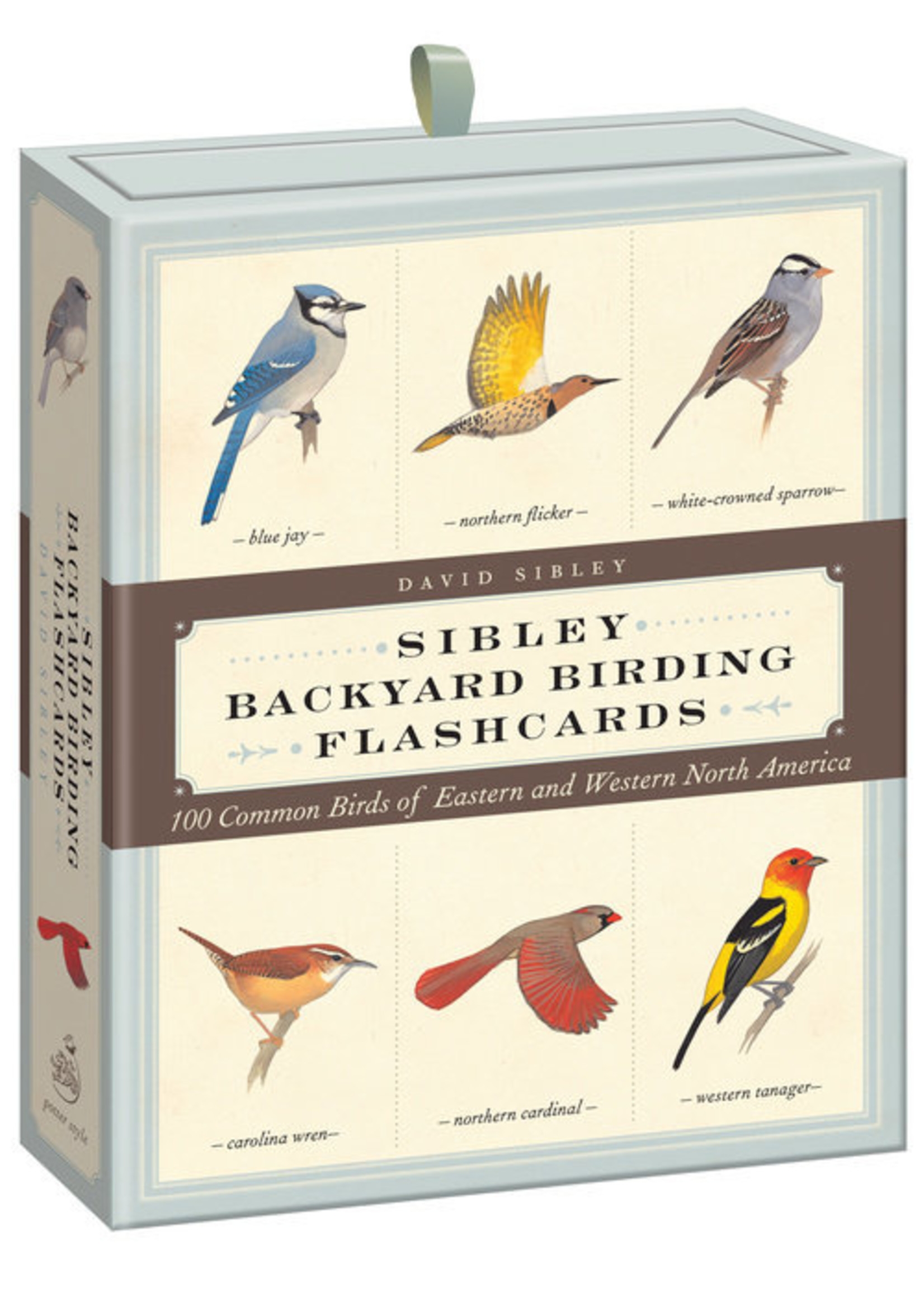 Sibley Backyard Birding Flashcards Box Tree House Books