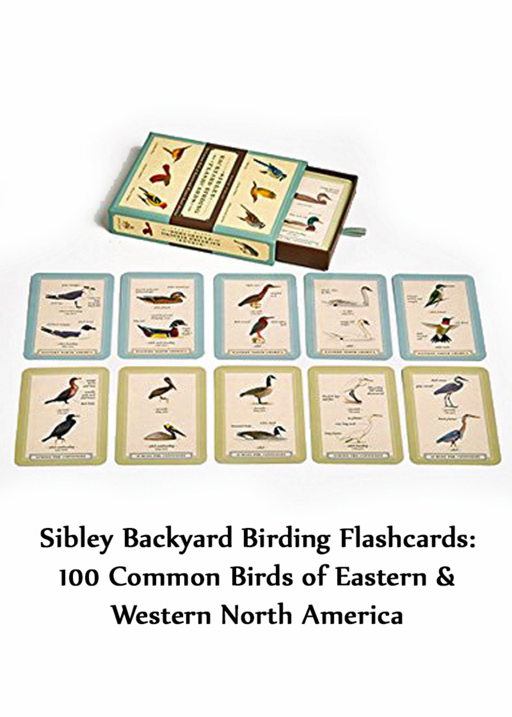 Sibley Backyard Birding Flashcards Box Tree House Books