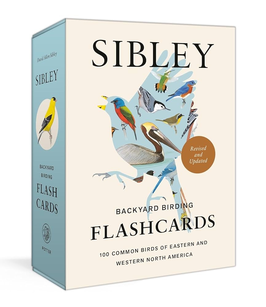 Sibley Backyard Birding Flashcards Revised And Updated 100 Common Birds Of Eastern And Western North America Sibley Birds Sibley David Allen 9780593578544 Amazon Books