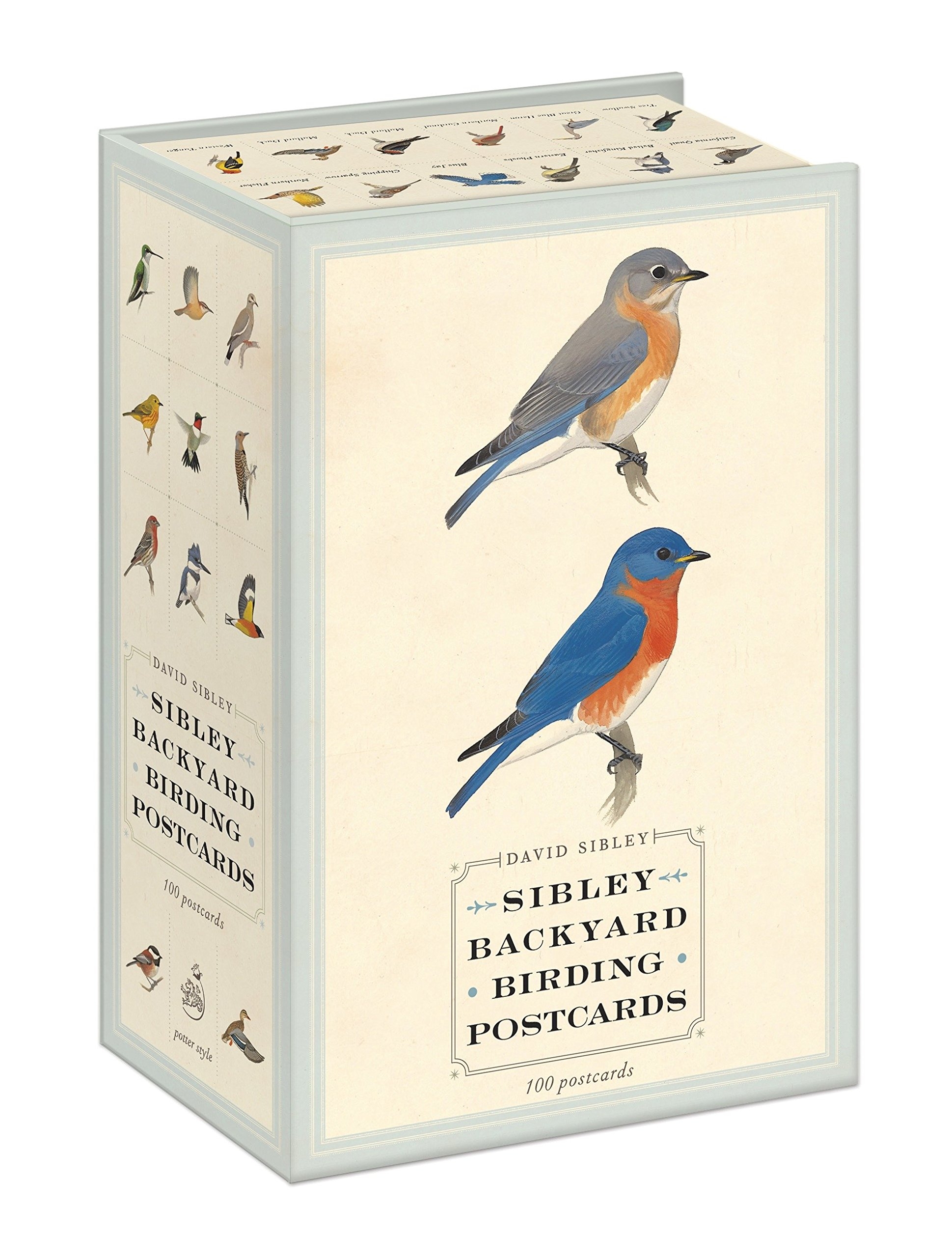 Sibley Backyard Birding Postcards 100 Postcards Sibley Guides
