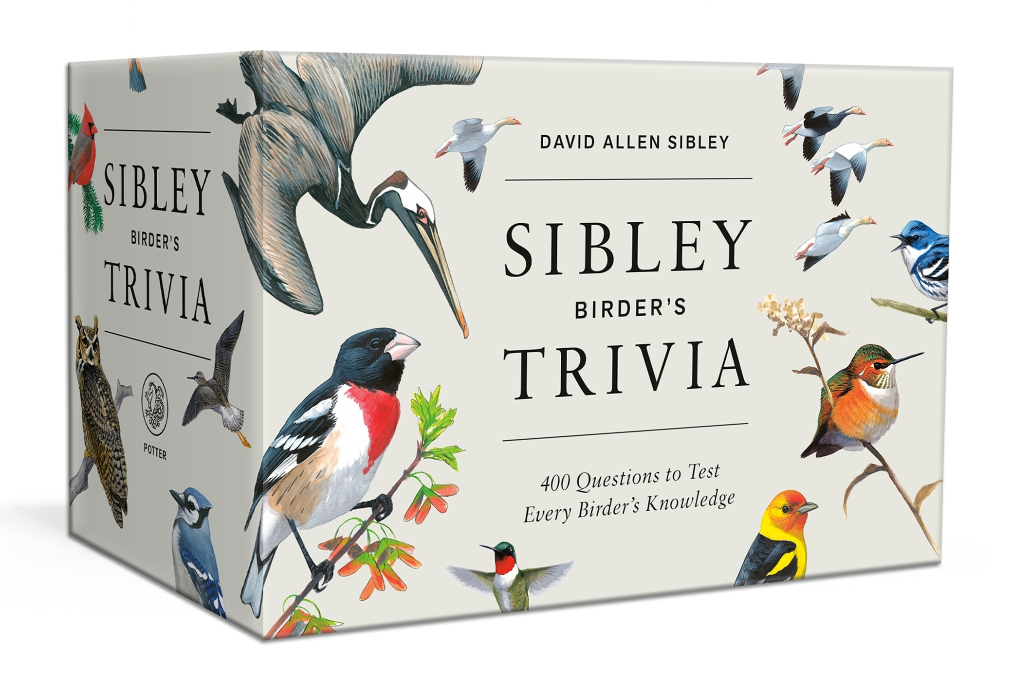 sibley bird flashcards