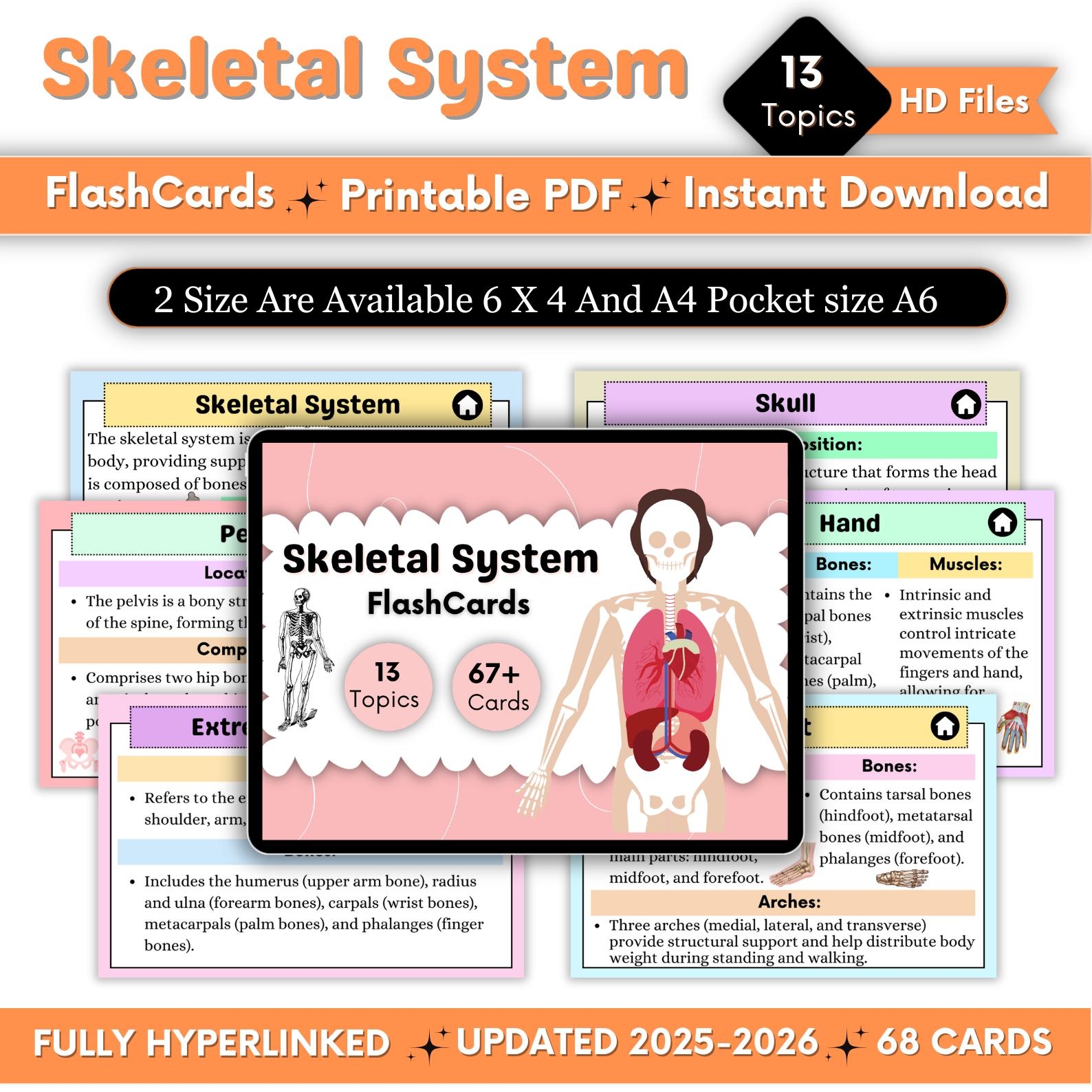 Skeletal Flashcards Skeletal System Flashcards Study Guide Printable Cards Skeletal Notes Instant Download PDF Etsy UK