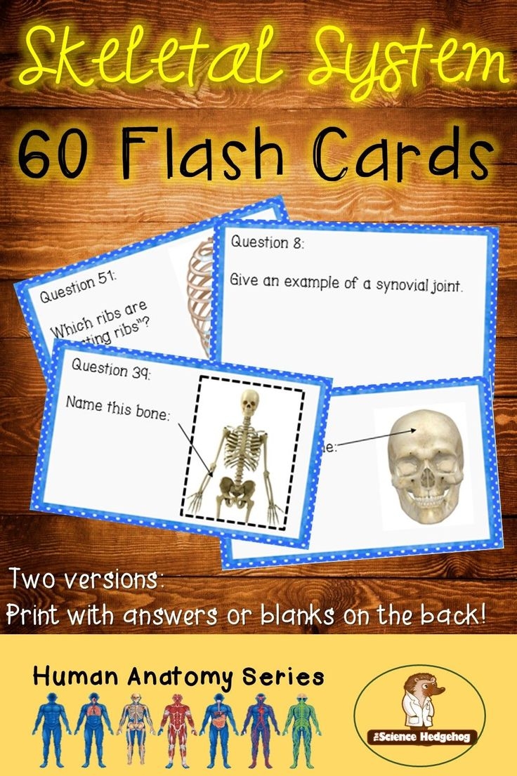 Skeletal System Flash Cards