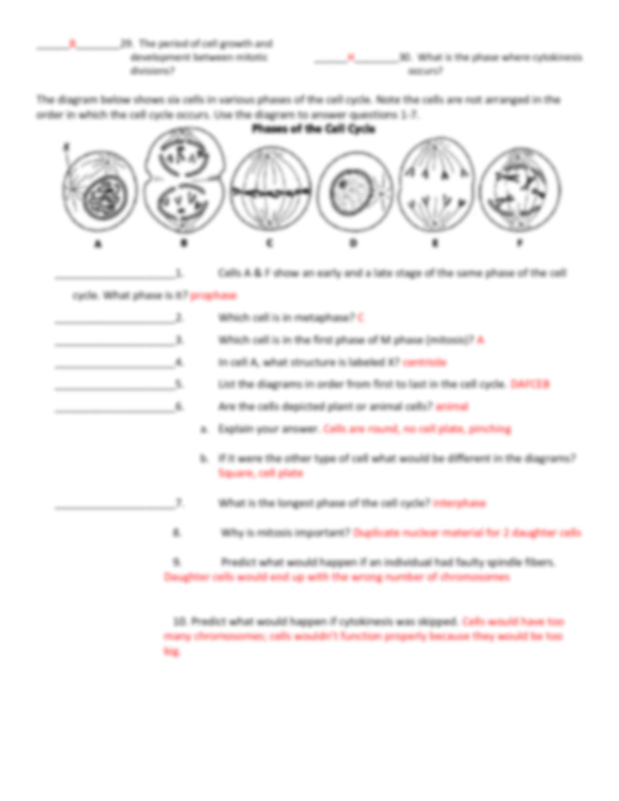 the cell cycle worksheet answer key