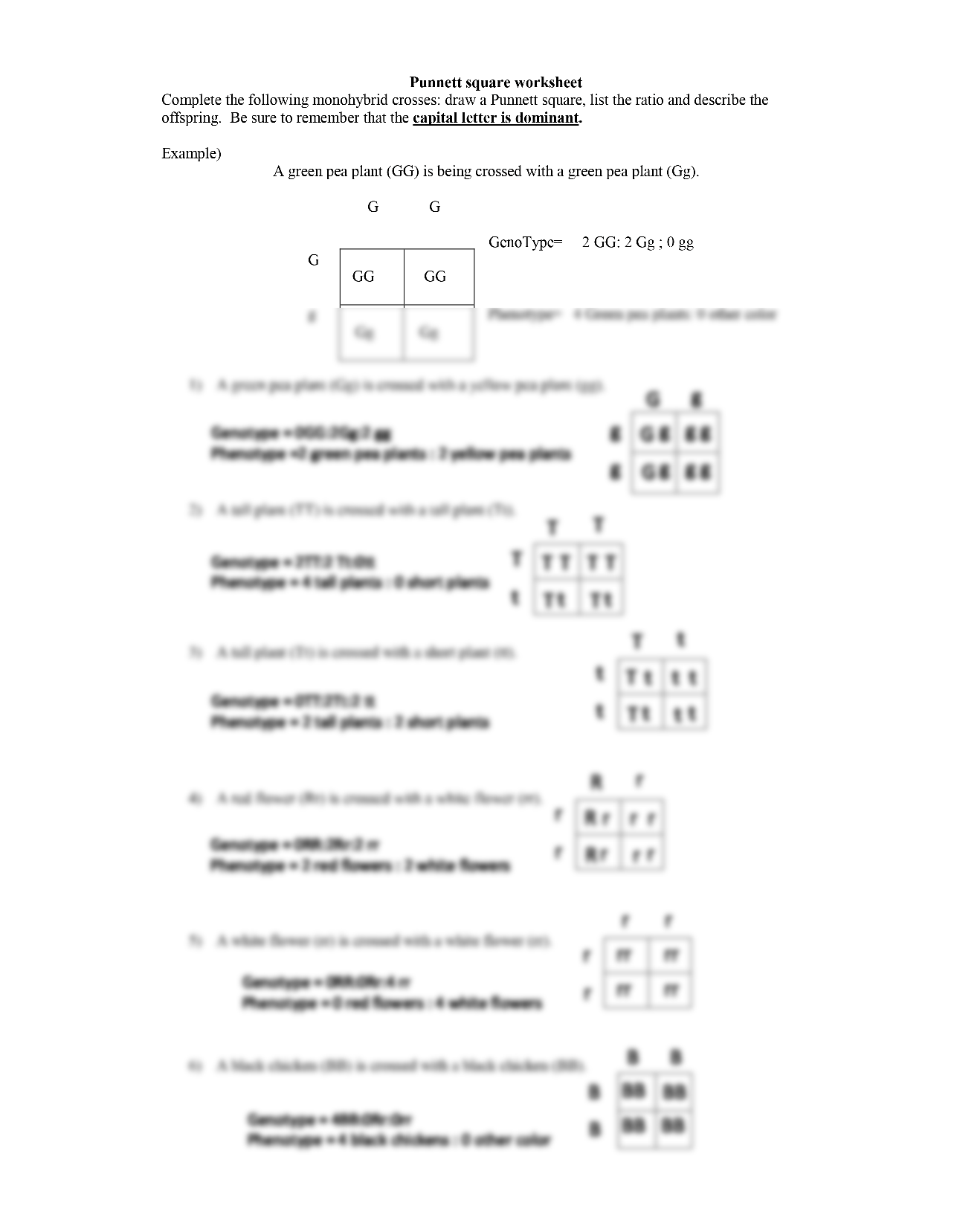 SOLUTION Punnett Square Worksheet 1 Studypool Worksheets Library